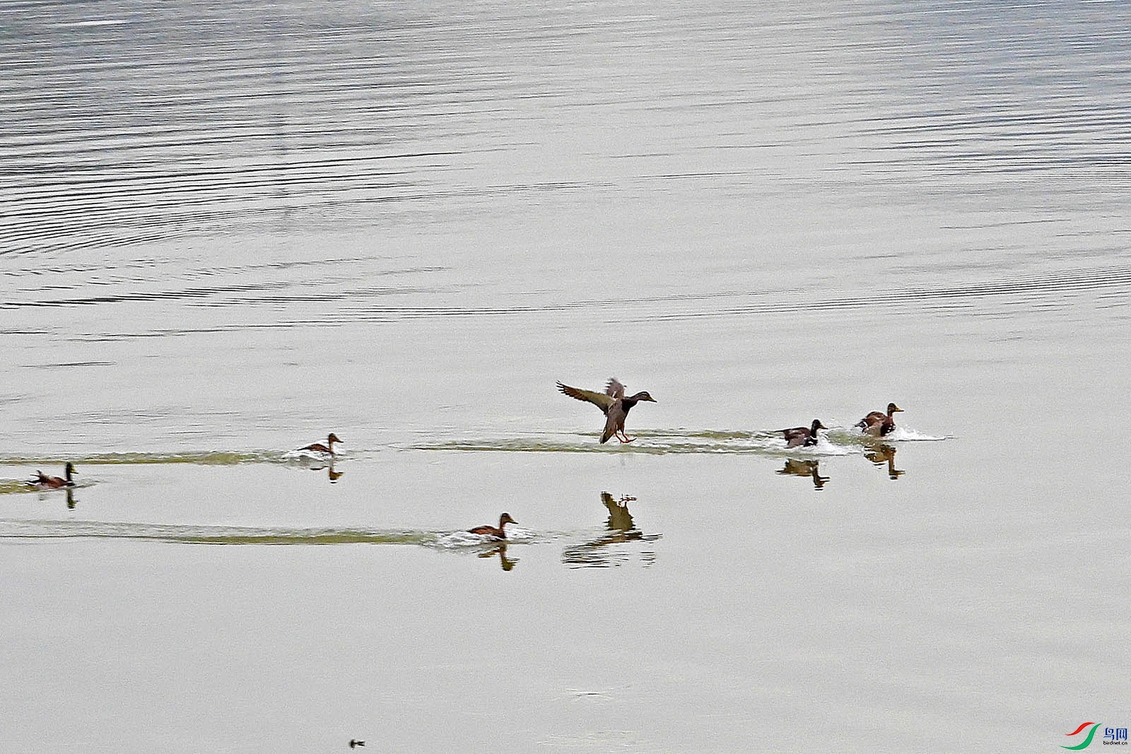 DSCN8628.jpg