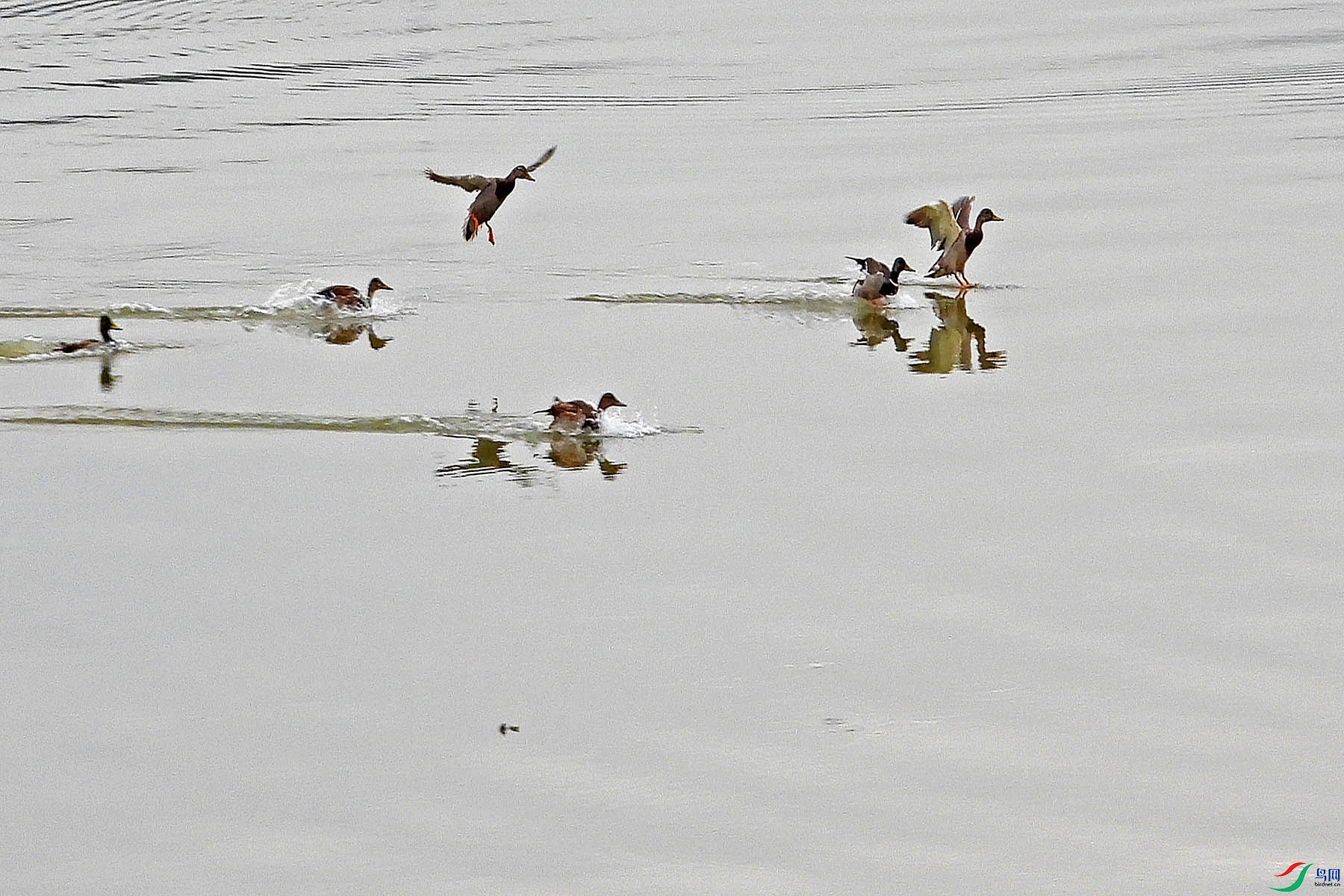 DSCN8626.jpg