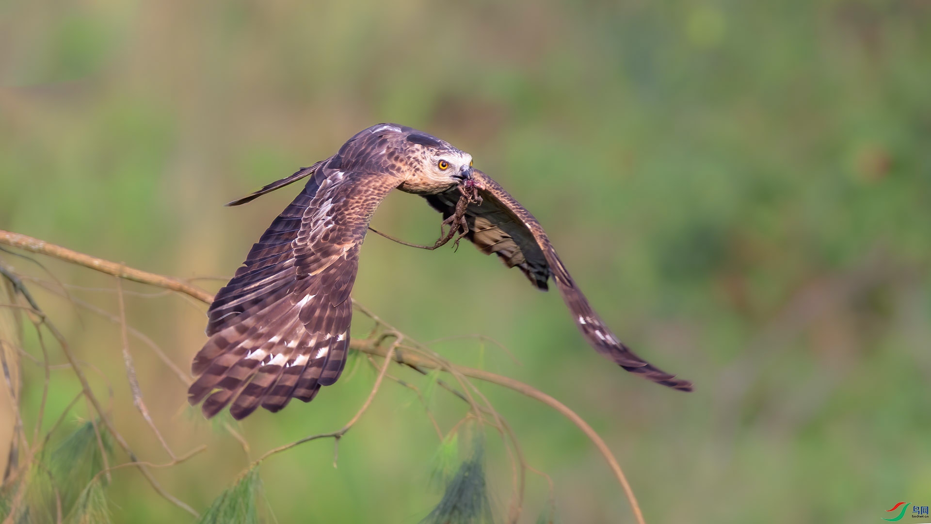 kkk--8 ����.jpg