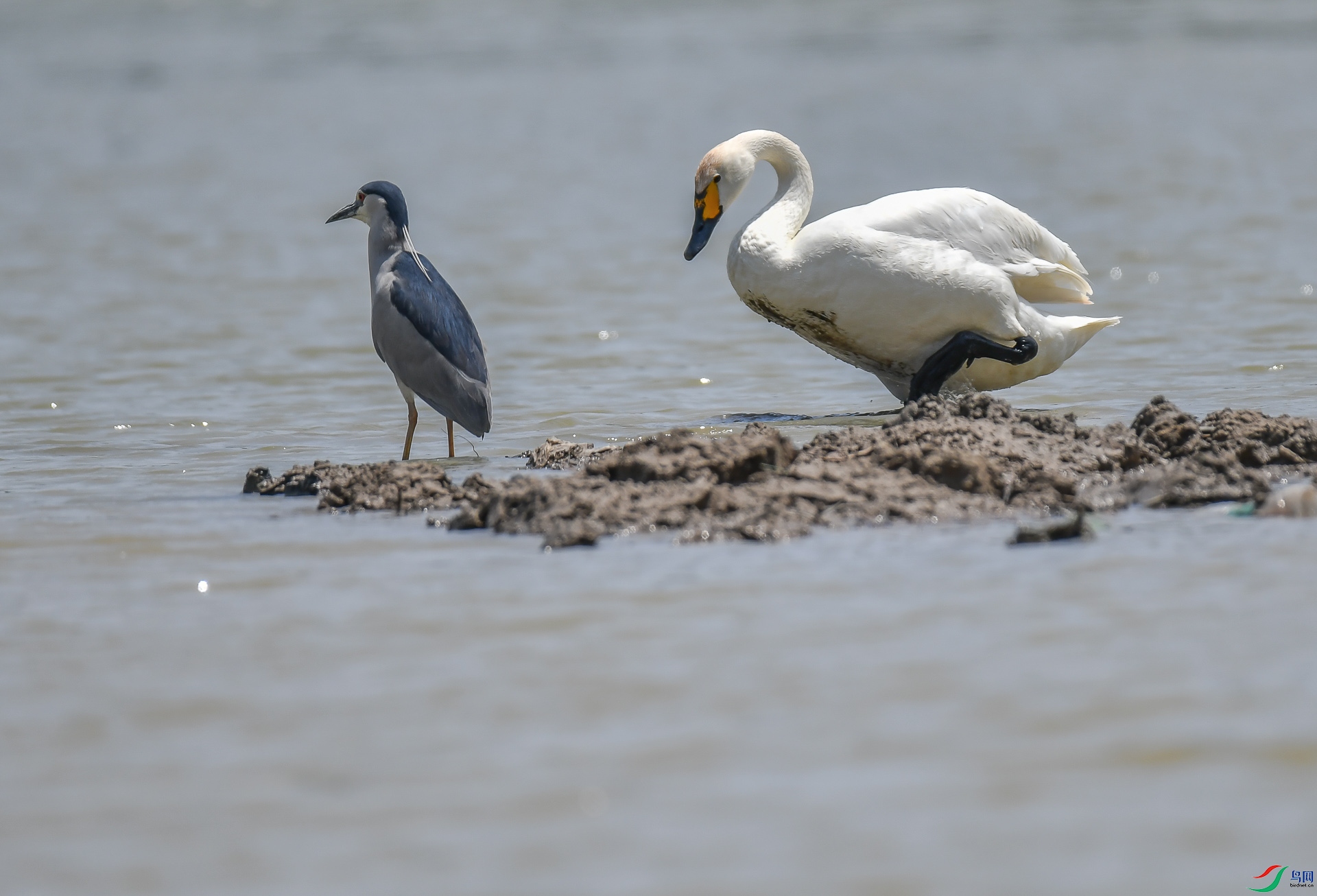 DSC_6892.jpg