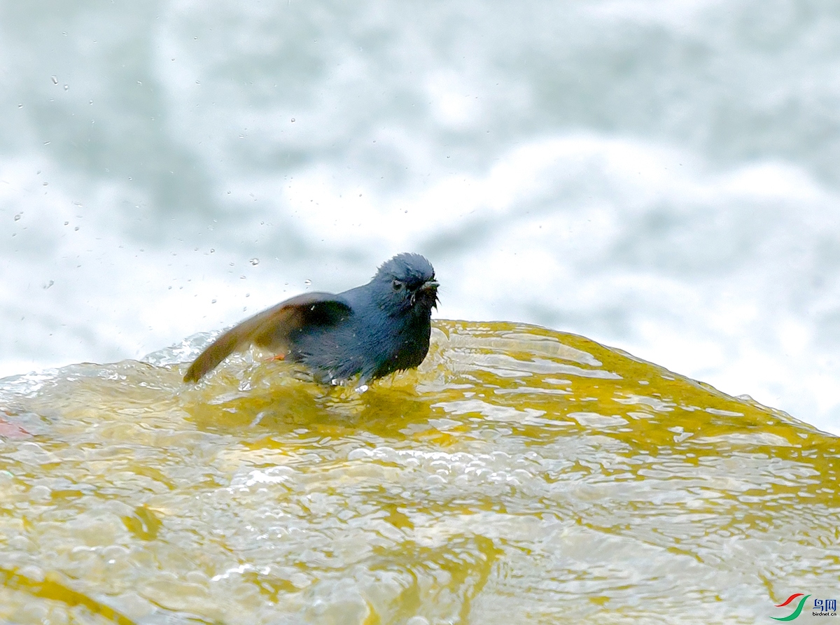 DSC_1275.JPG