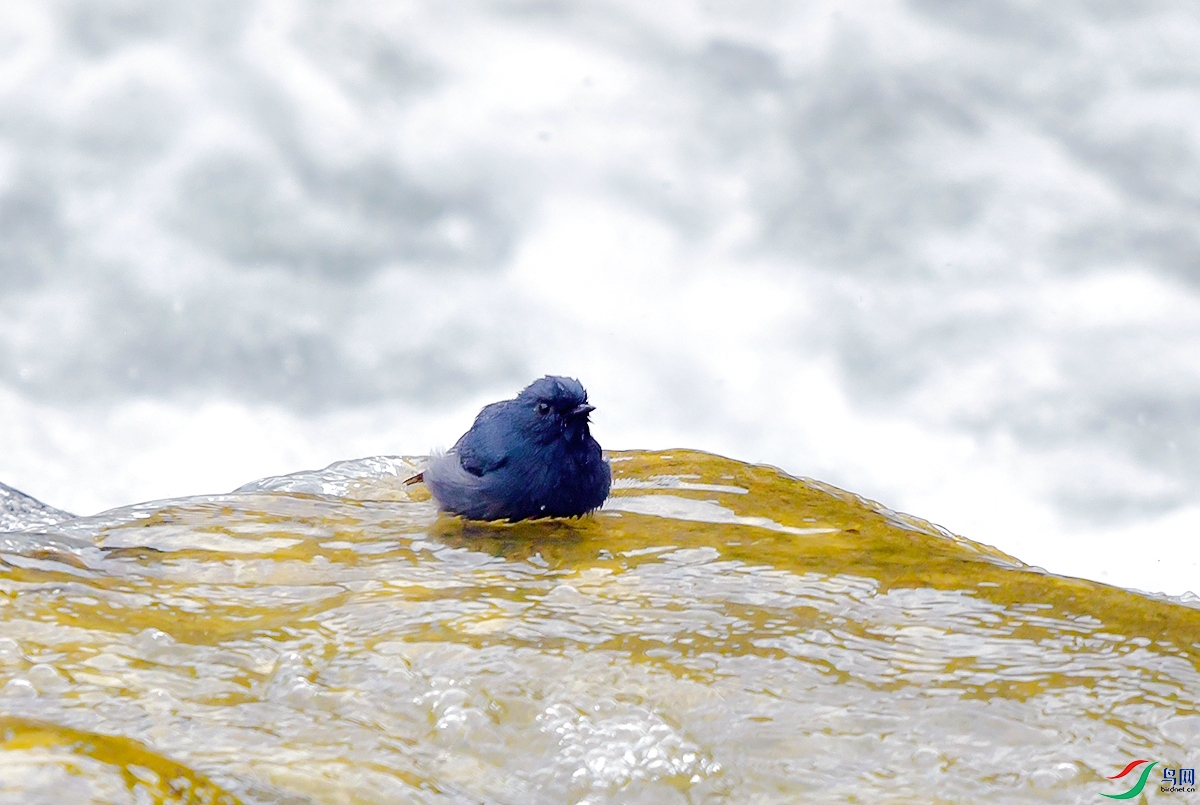 DSC_1300.JPG