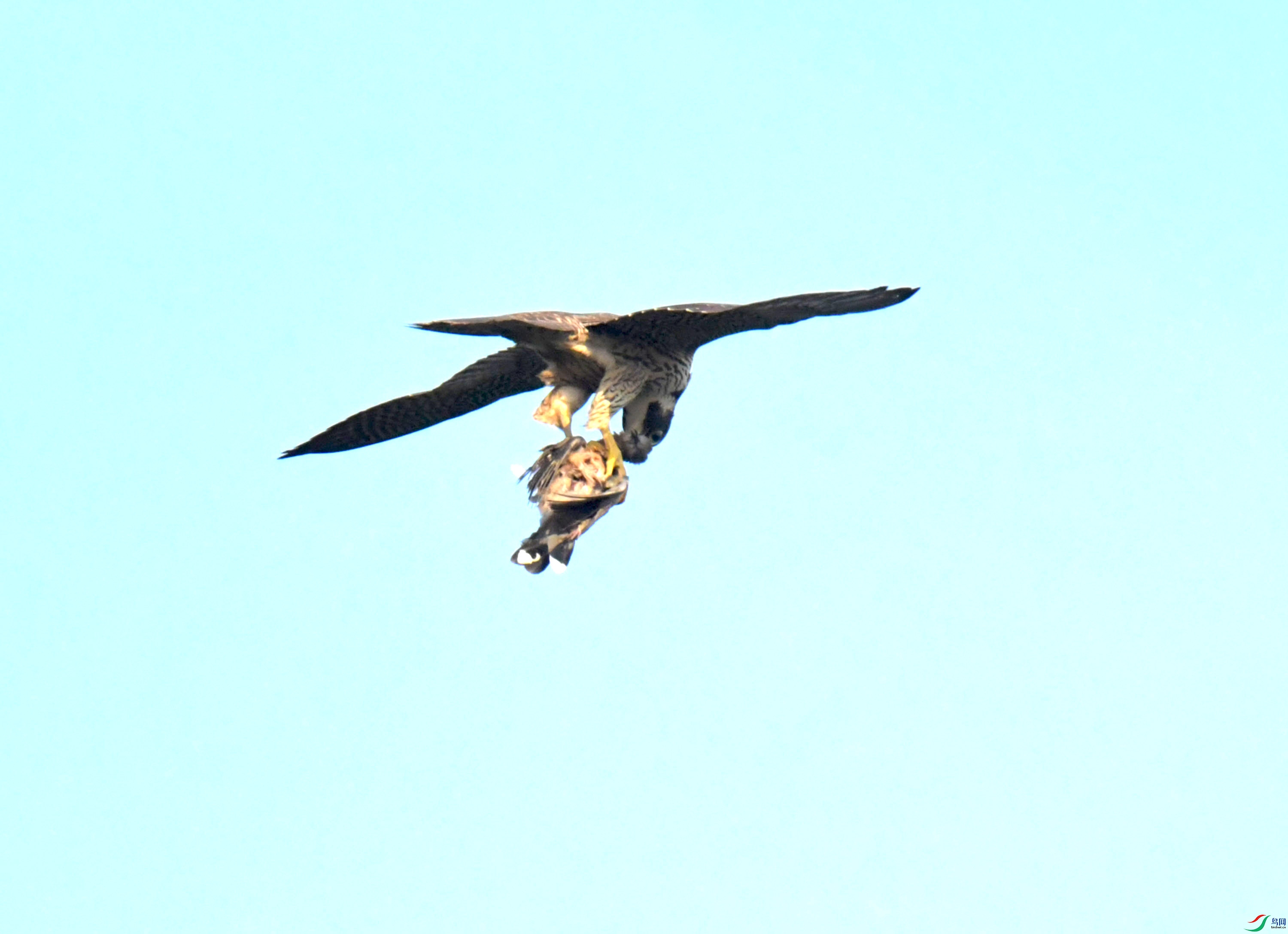 DSC_0714.JPG
