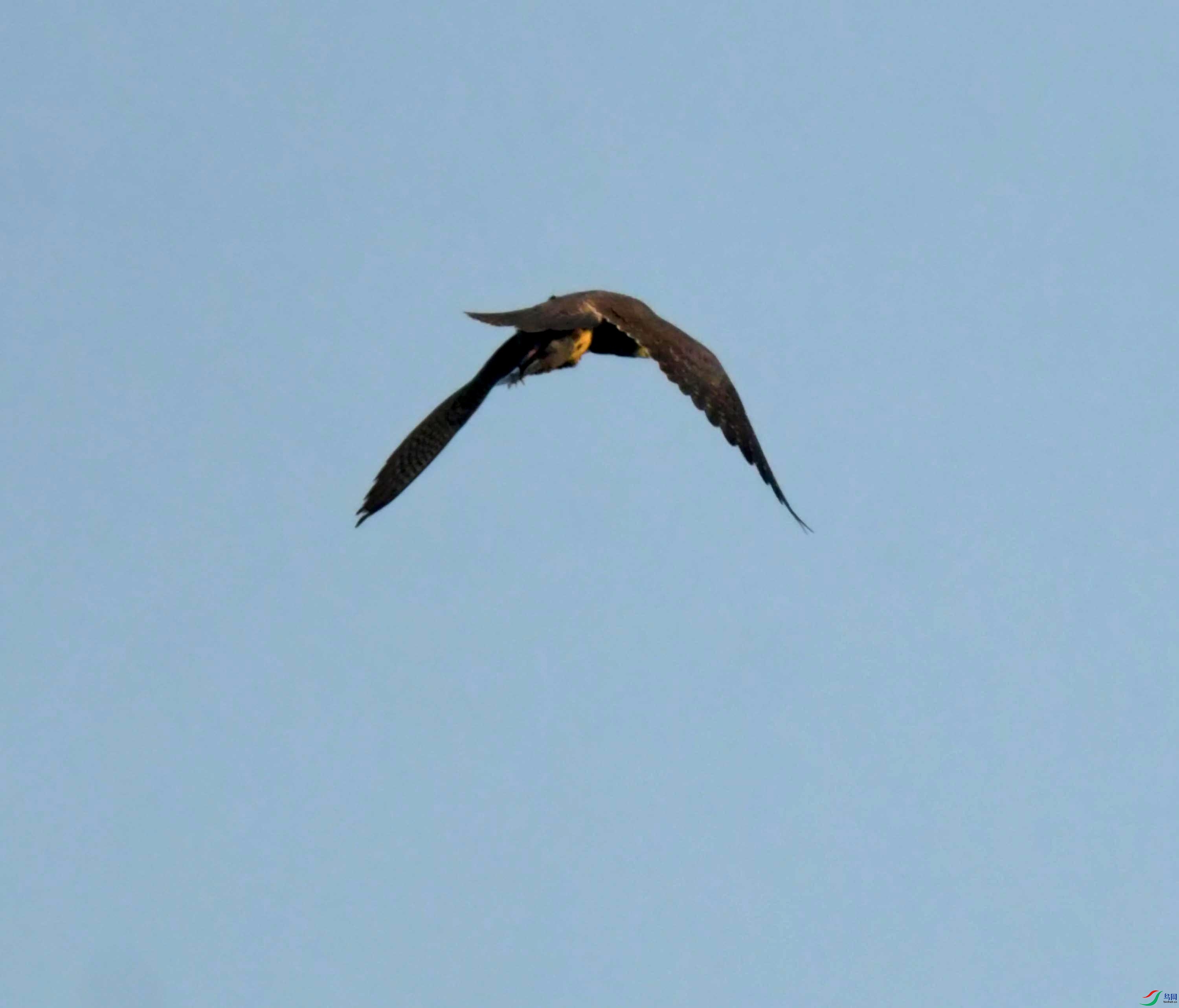DSC_0719.JPG