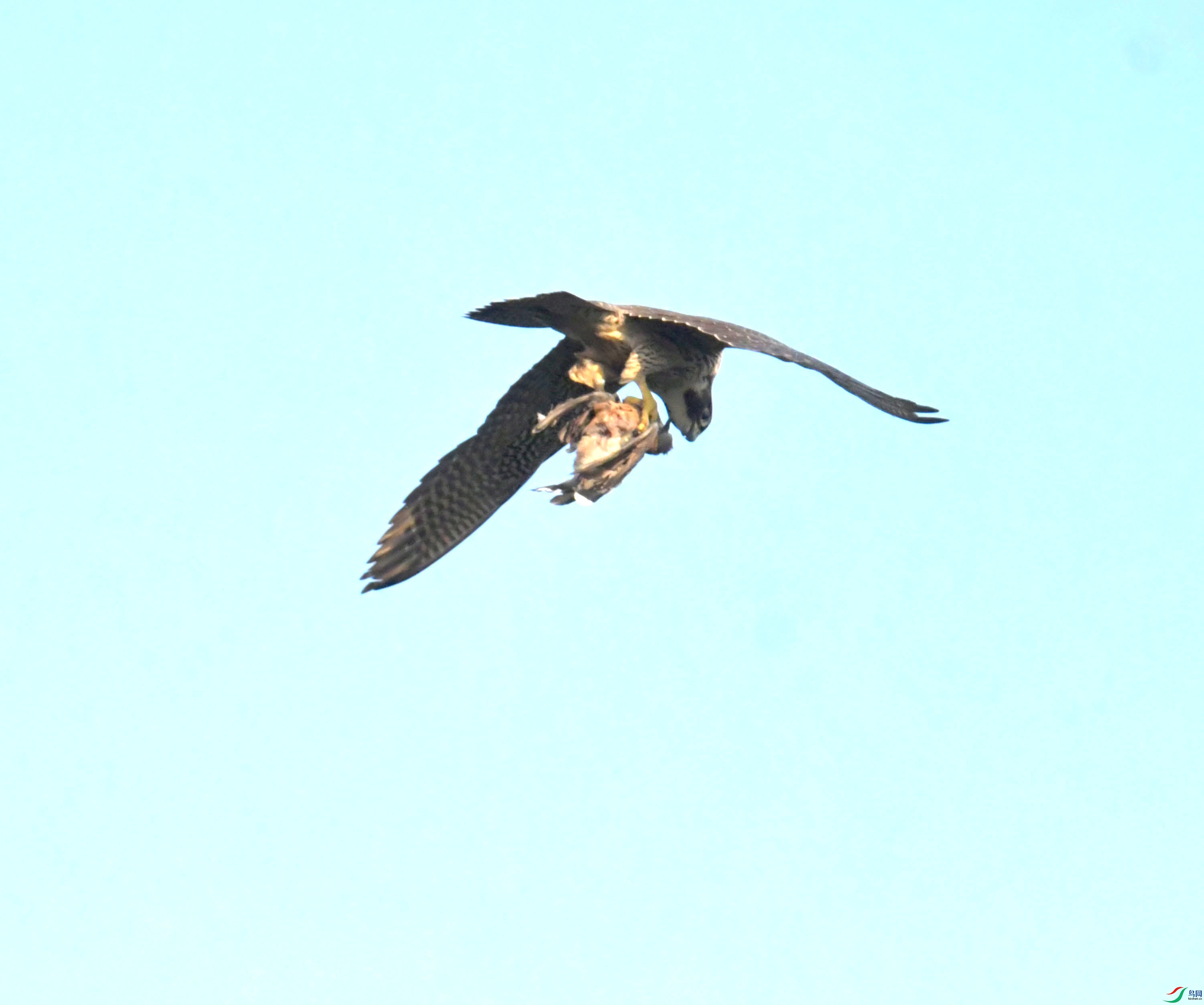 DSC_0716.JPG