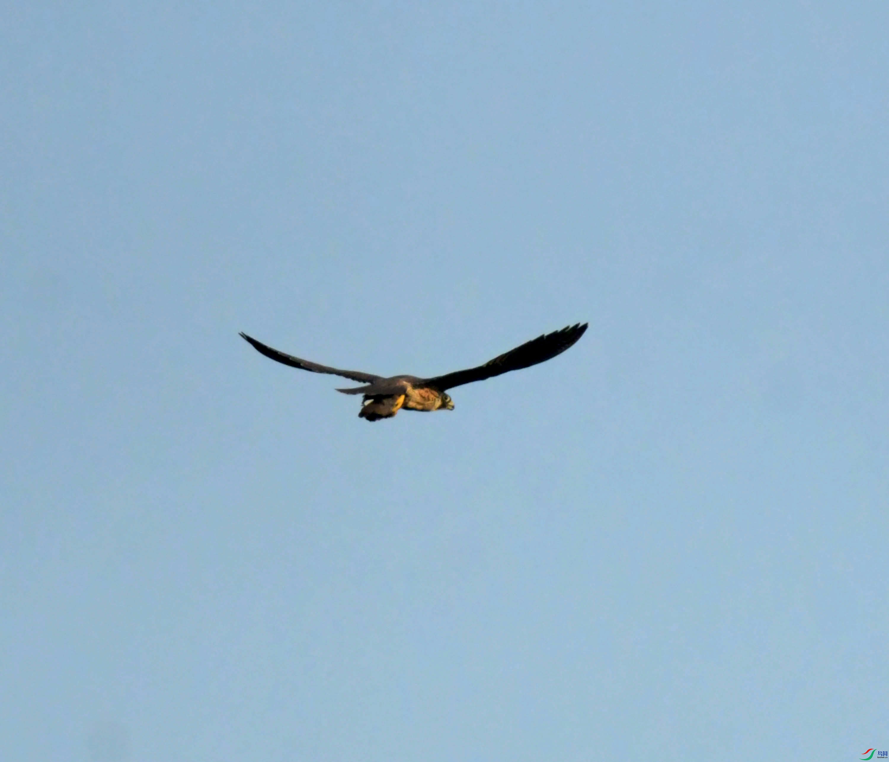 DSC_0720.JPG