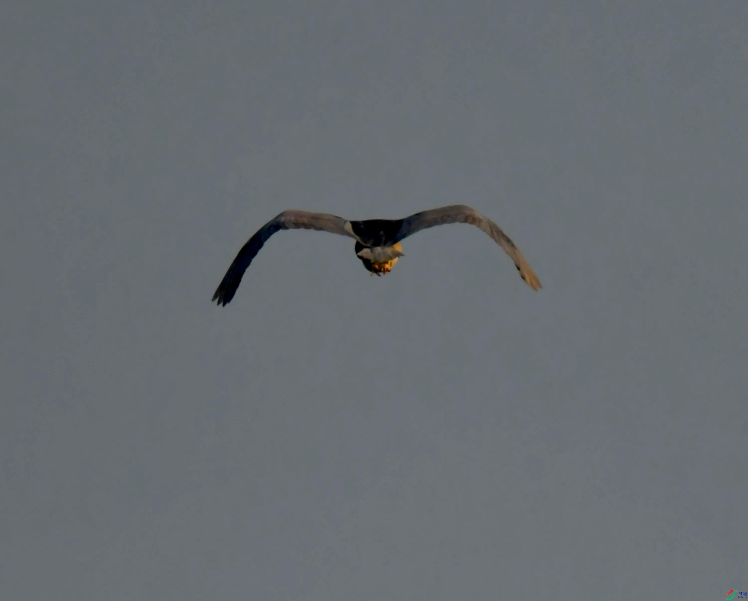 DSC_0727.JPG