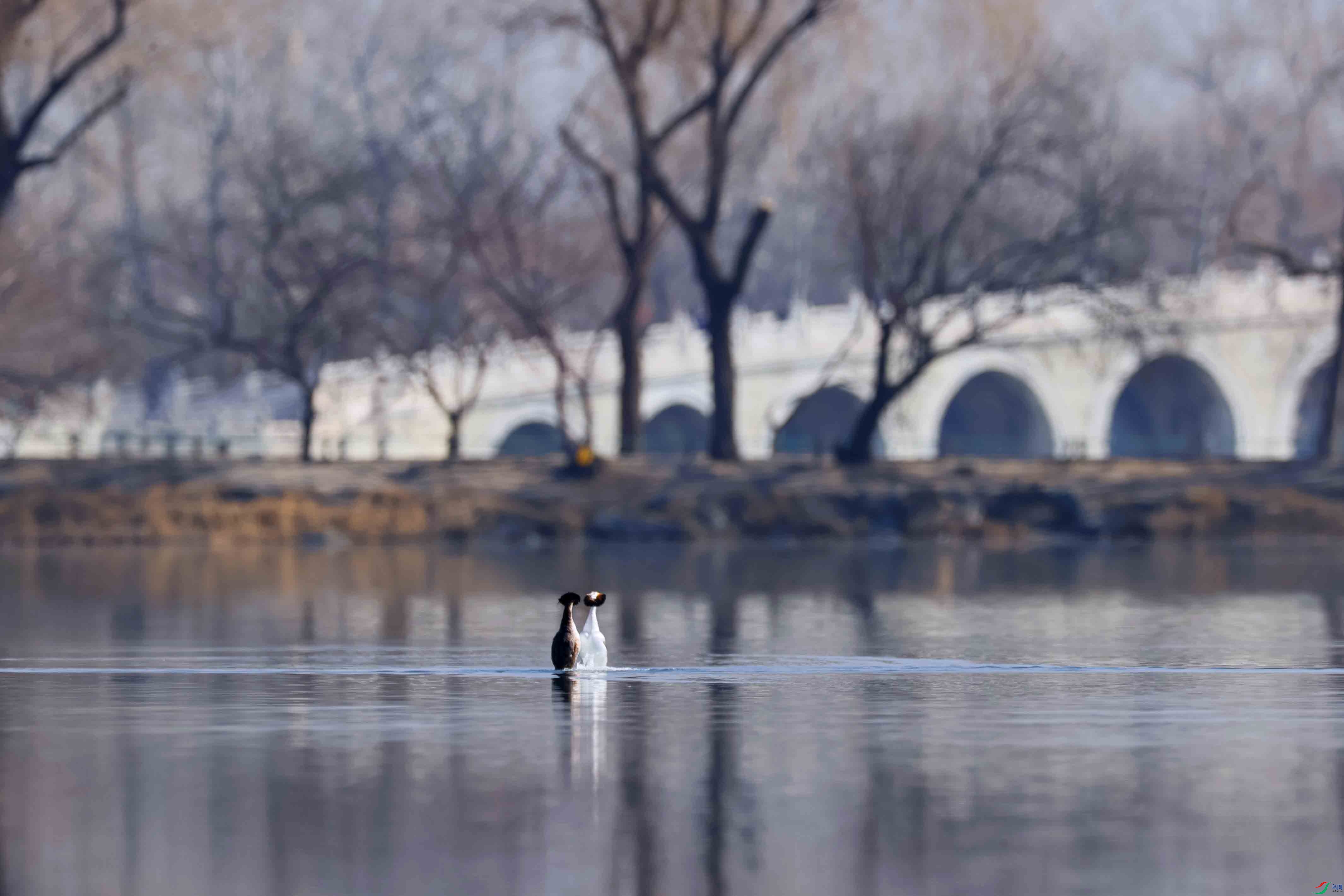 ���� ����.jpg