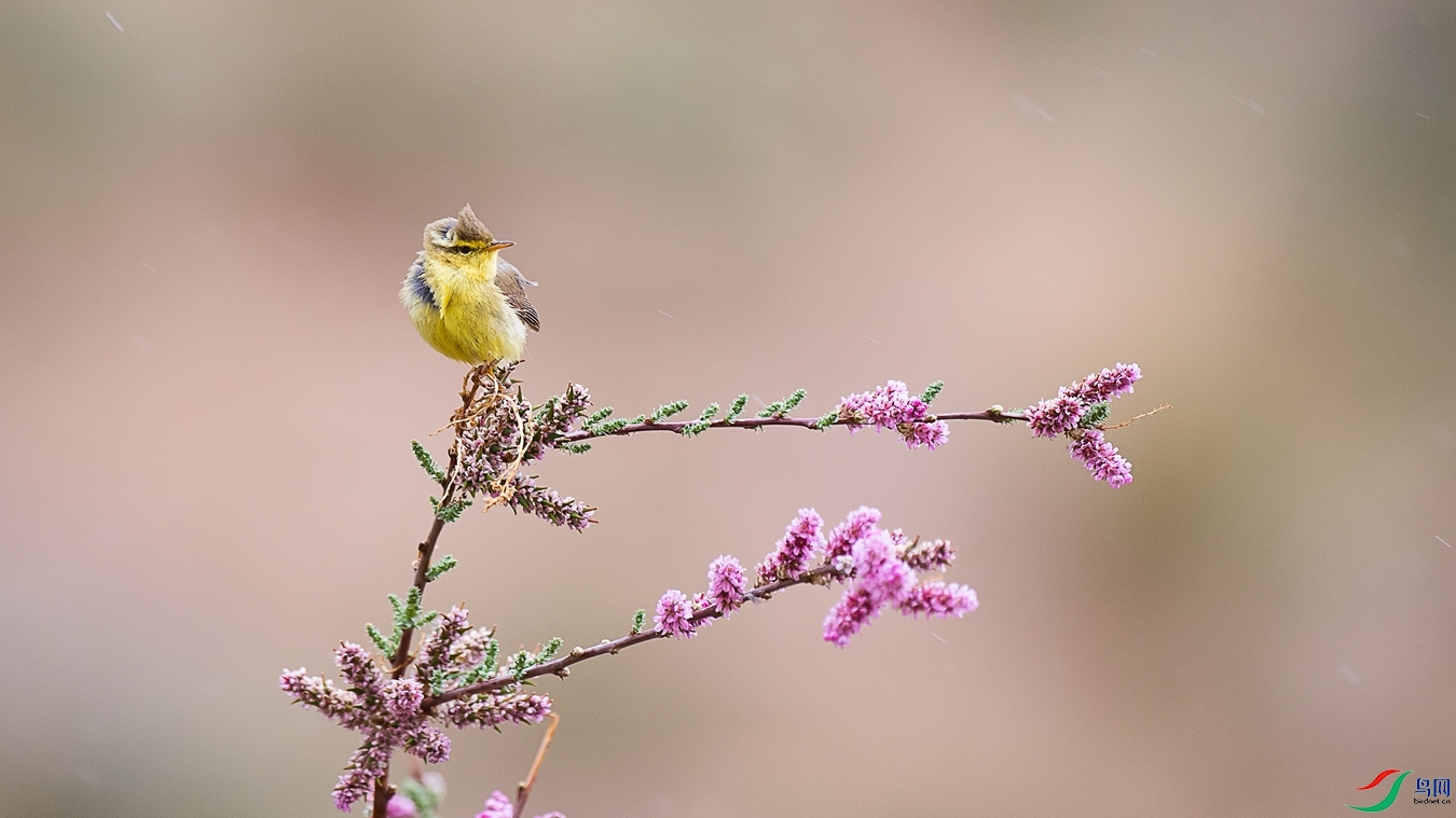 DSC_4064 - ����.jpg