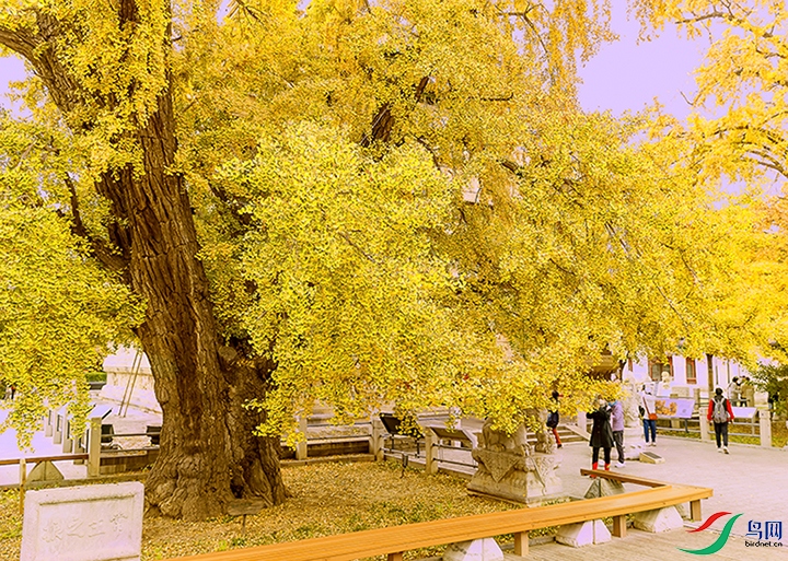 817A5910-1c ����c.jpg