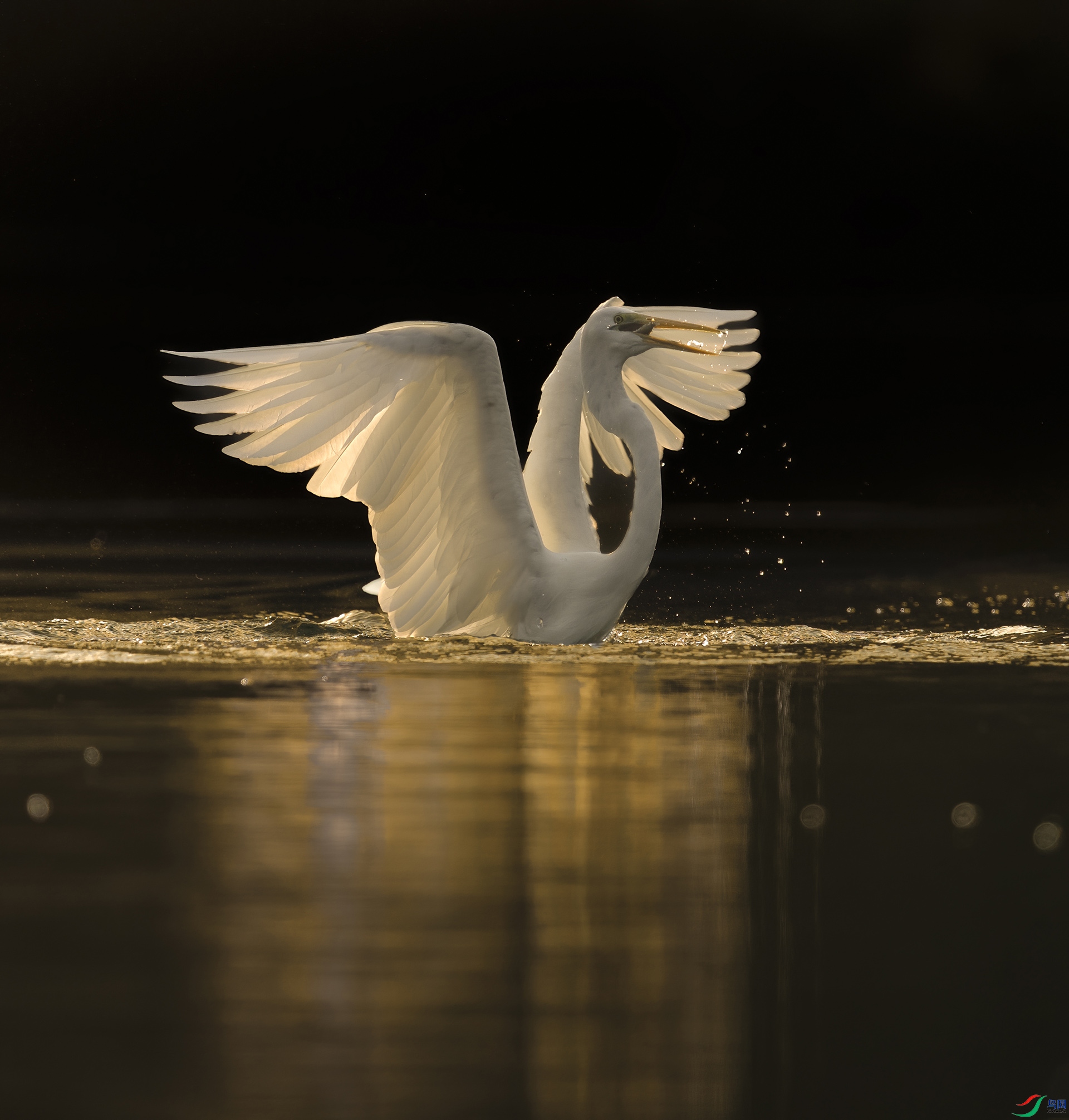 DSC_3496 ���� 2.jpg