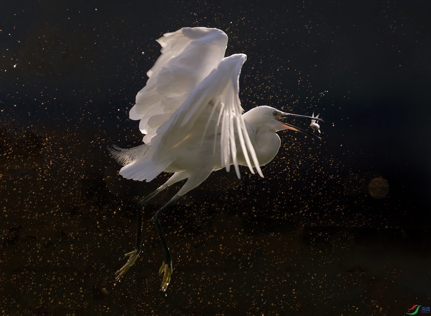 DSC_5406 ���� 3.jpg