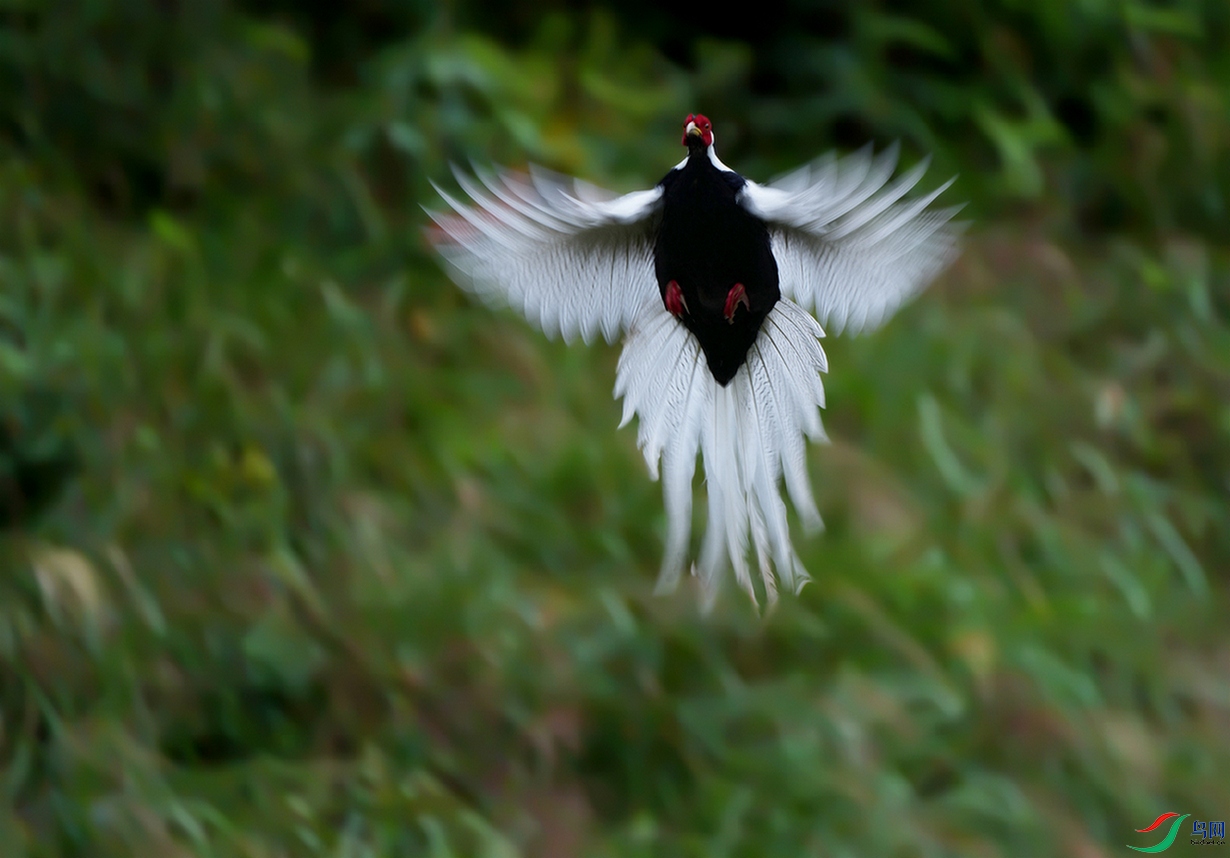 ���з���