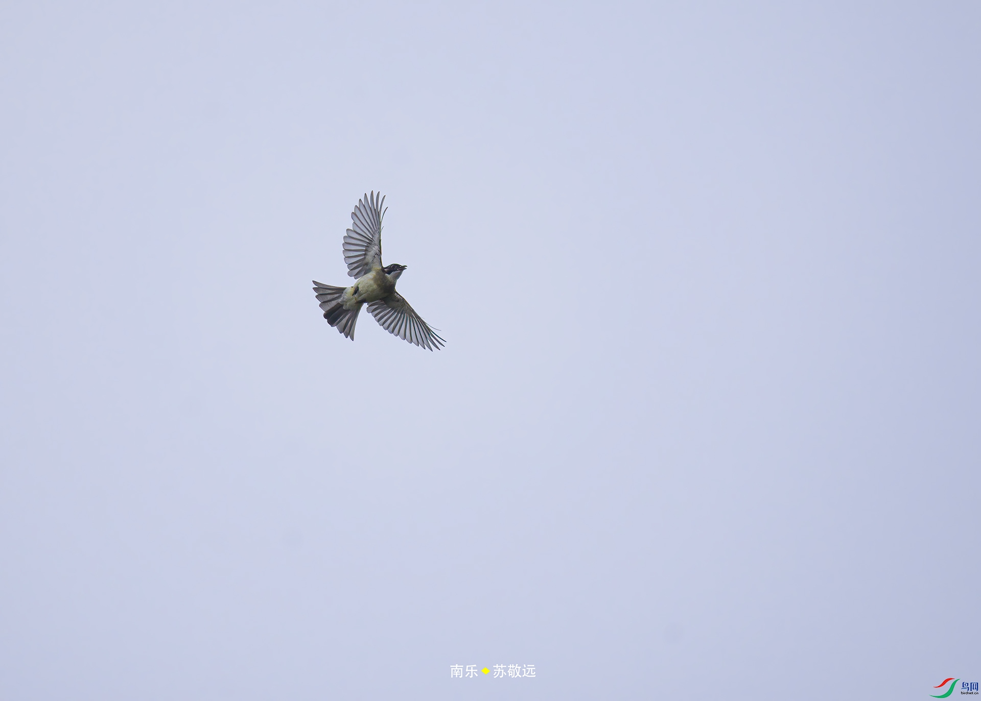 _DSC1628С.jpg