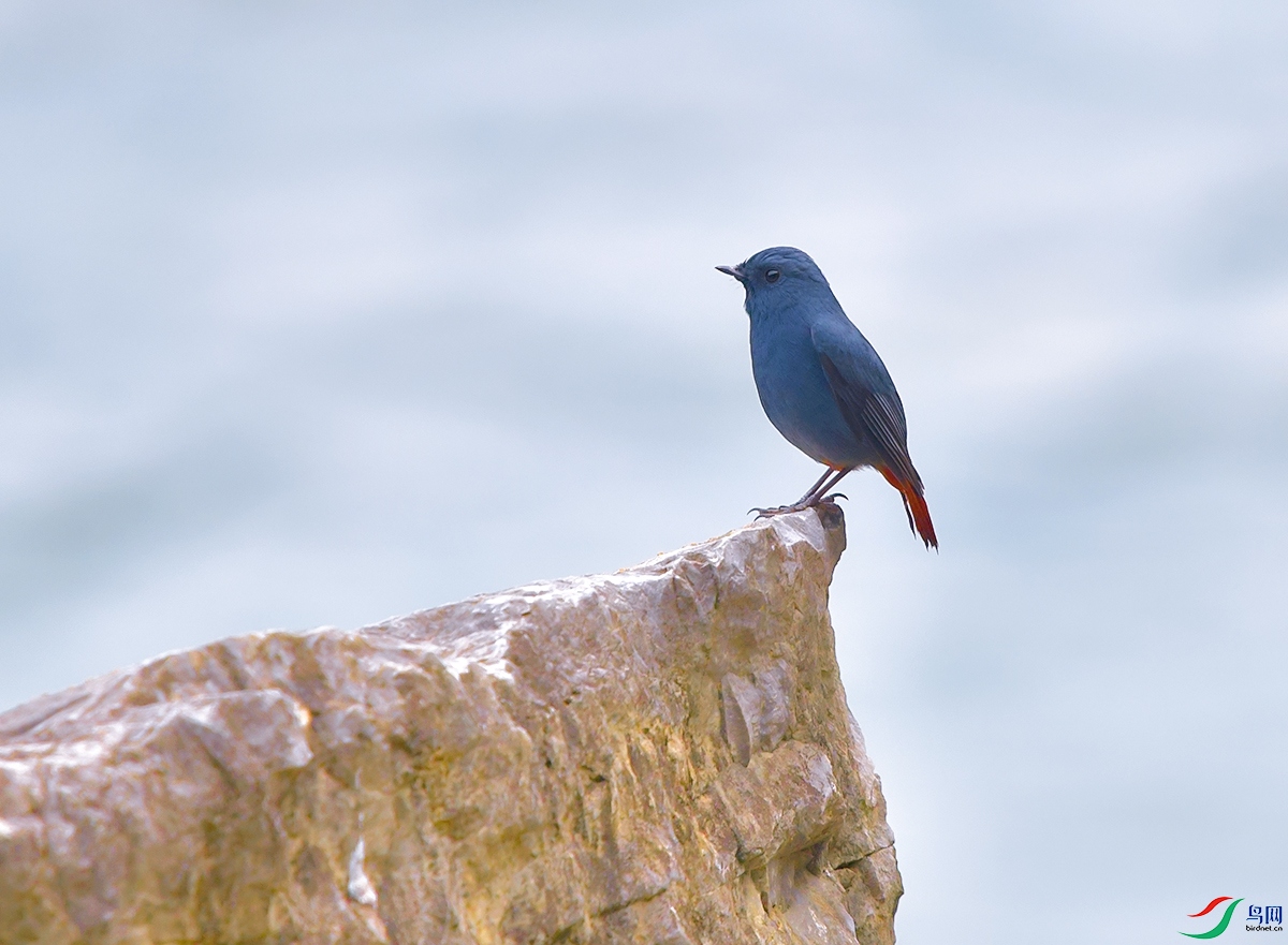 DSC_1403.JPG