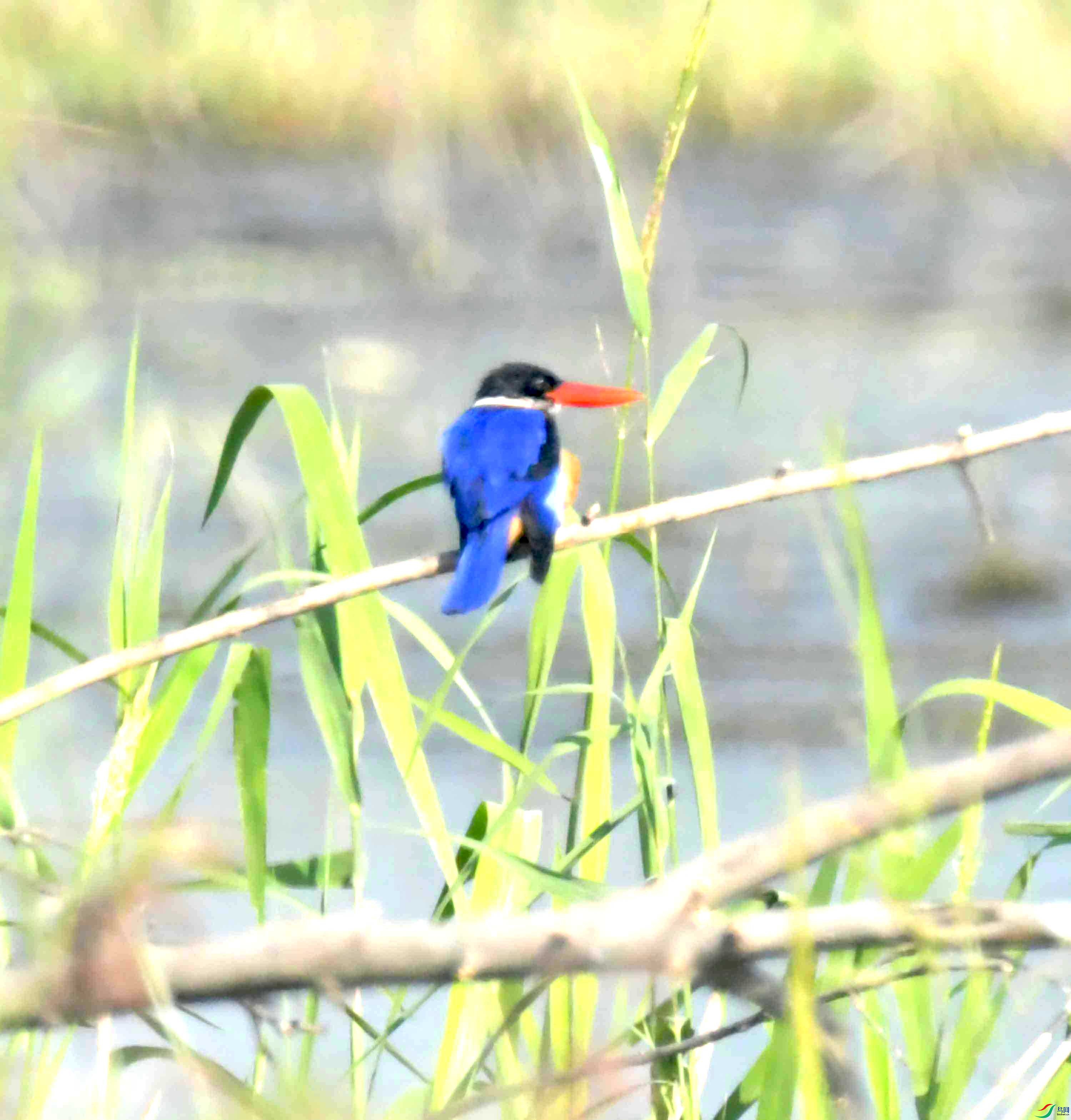 DSC_9542.JPG