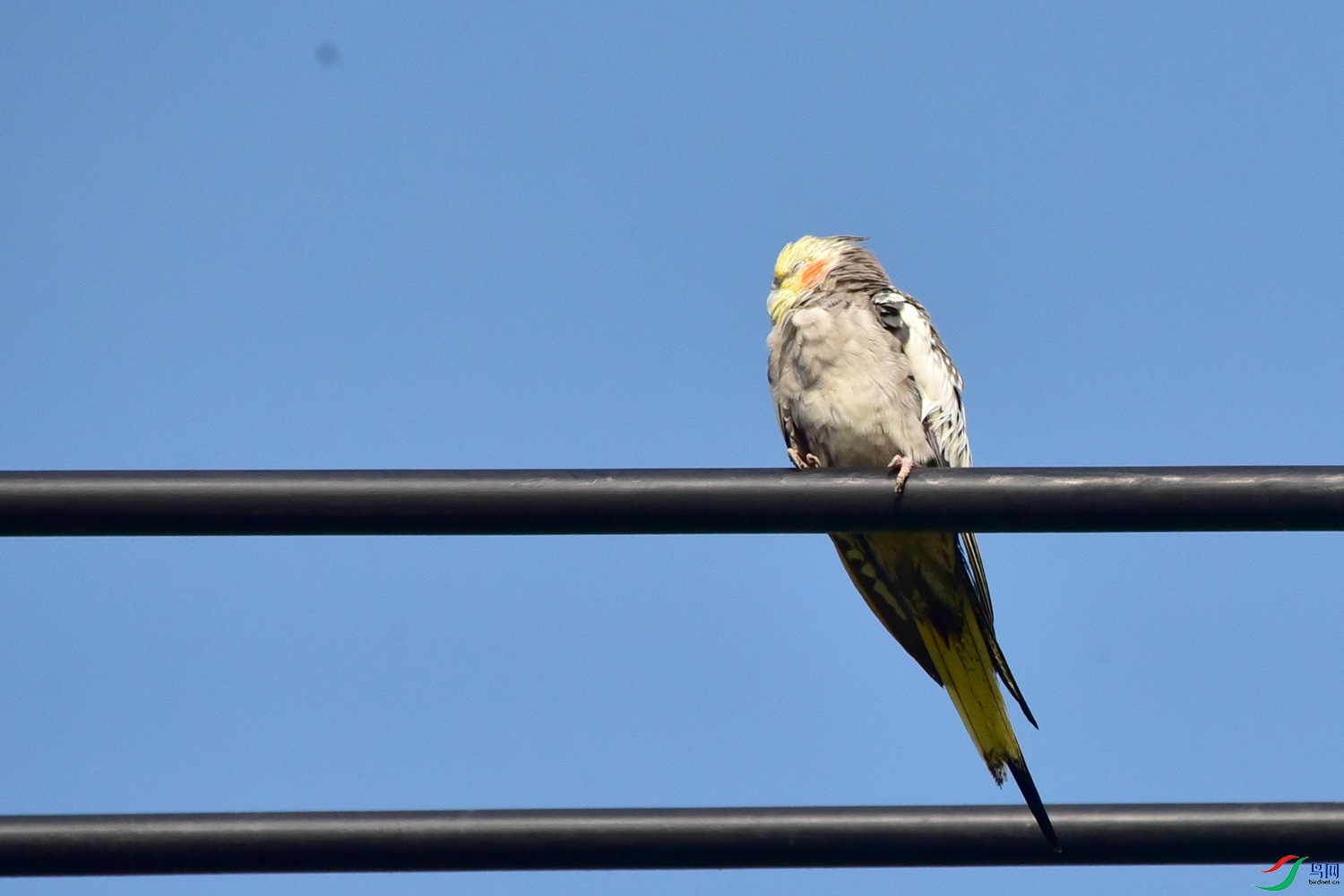 DSC_0734.JPG