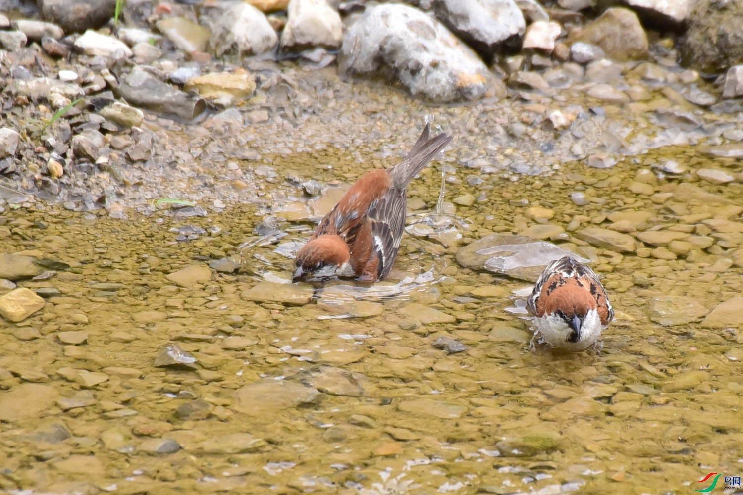 DSC_3609.JPG