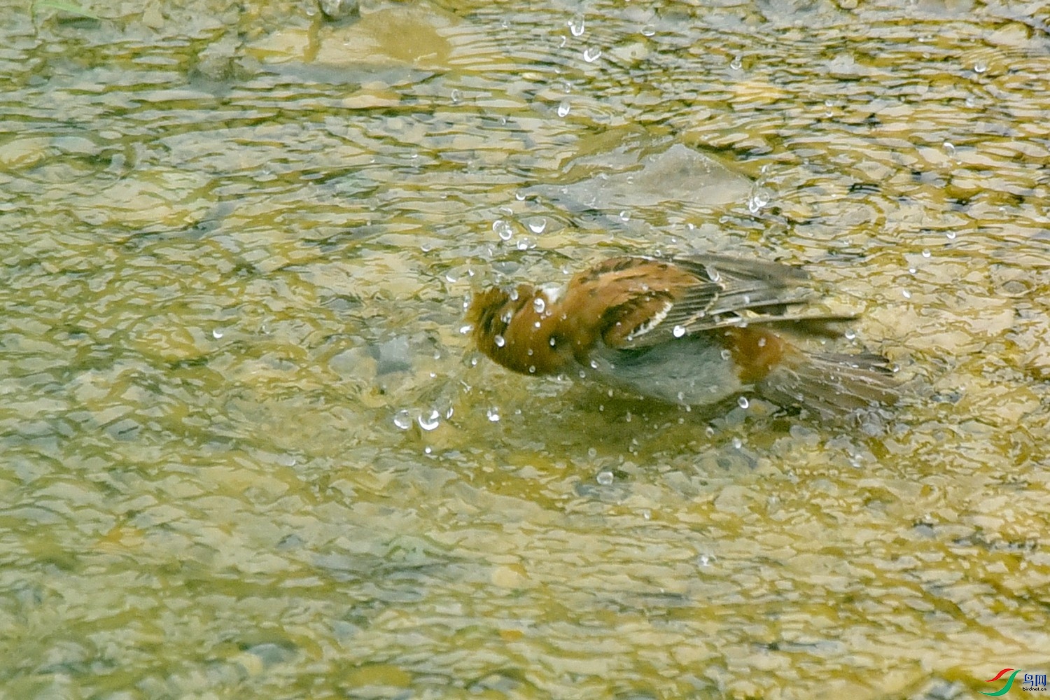 DSC_3588.JPG