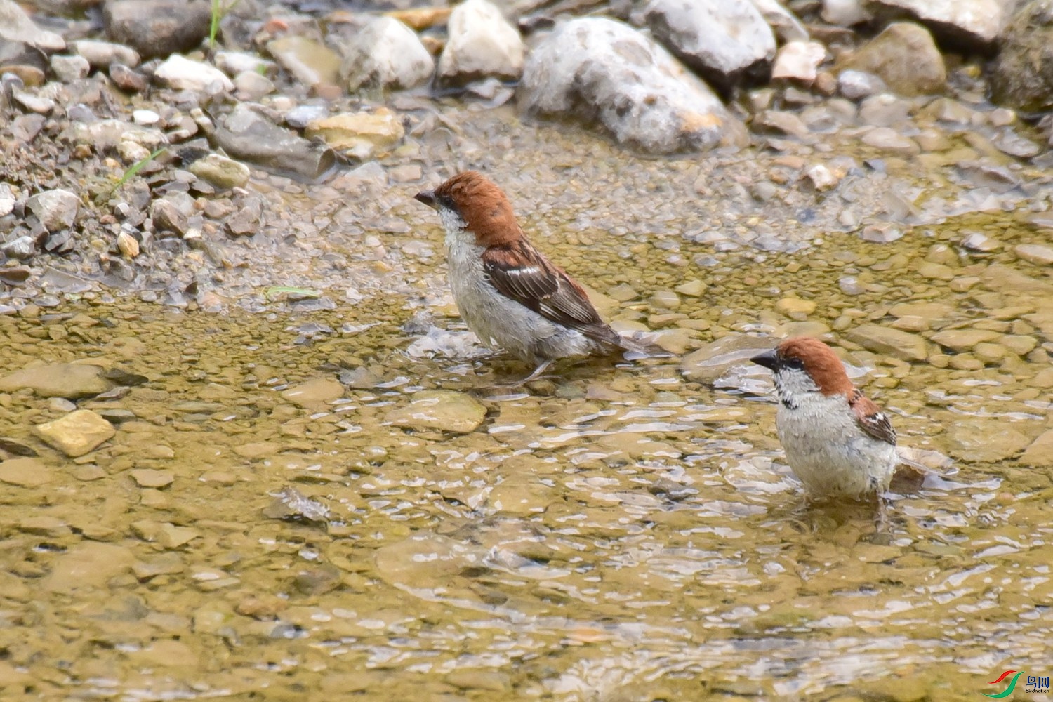 DSC_3610.JPG