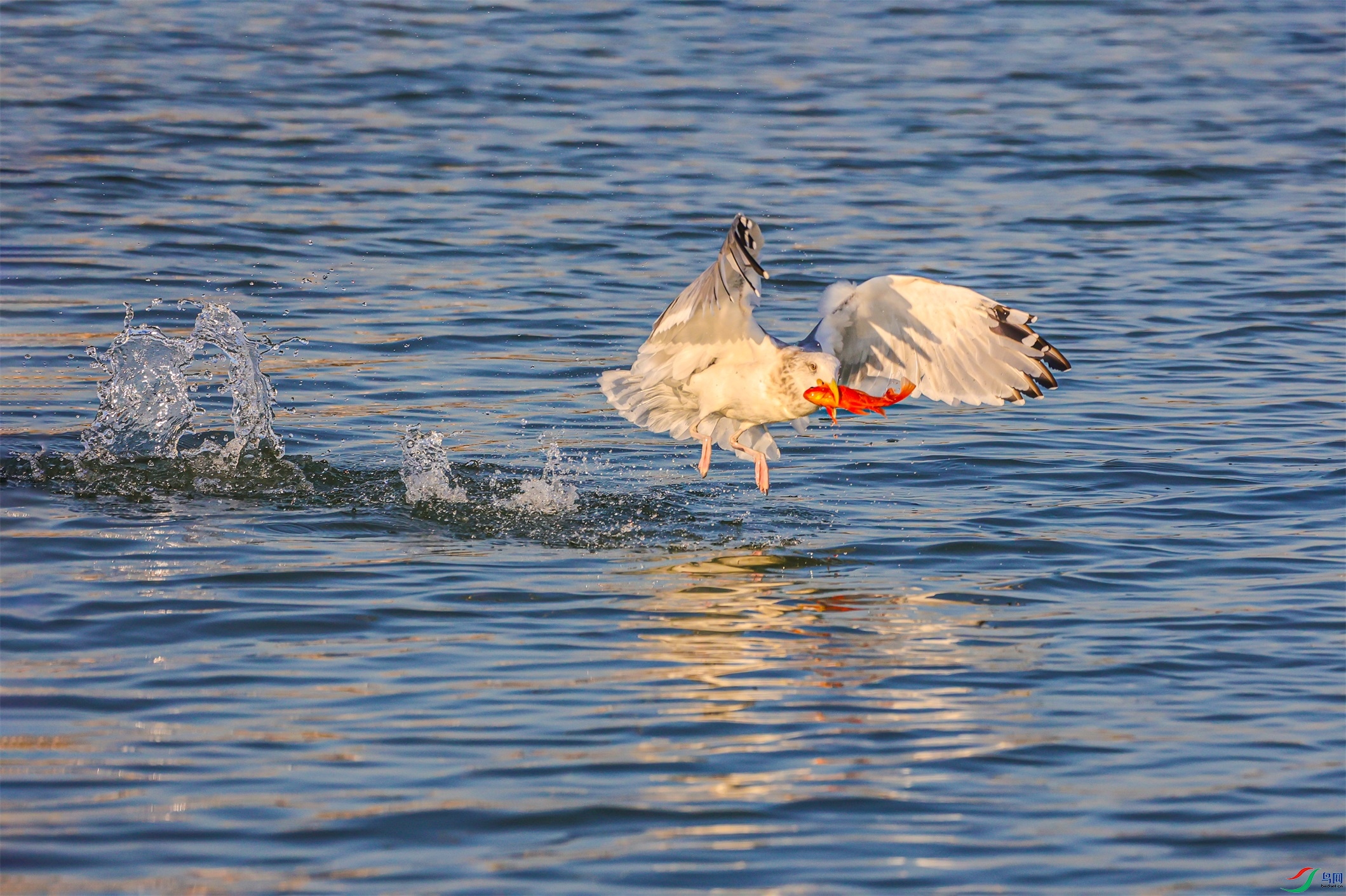 1K3A5846 ����1.jpg