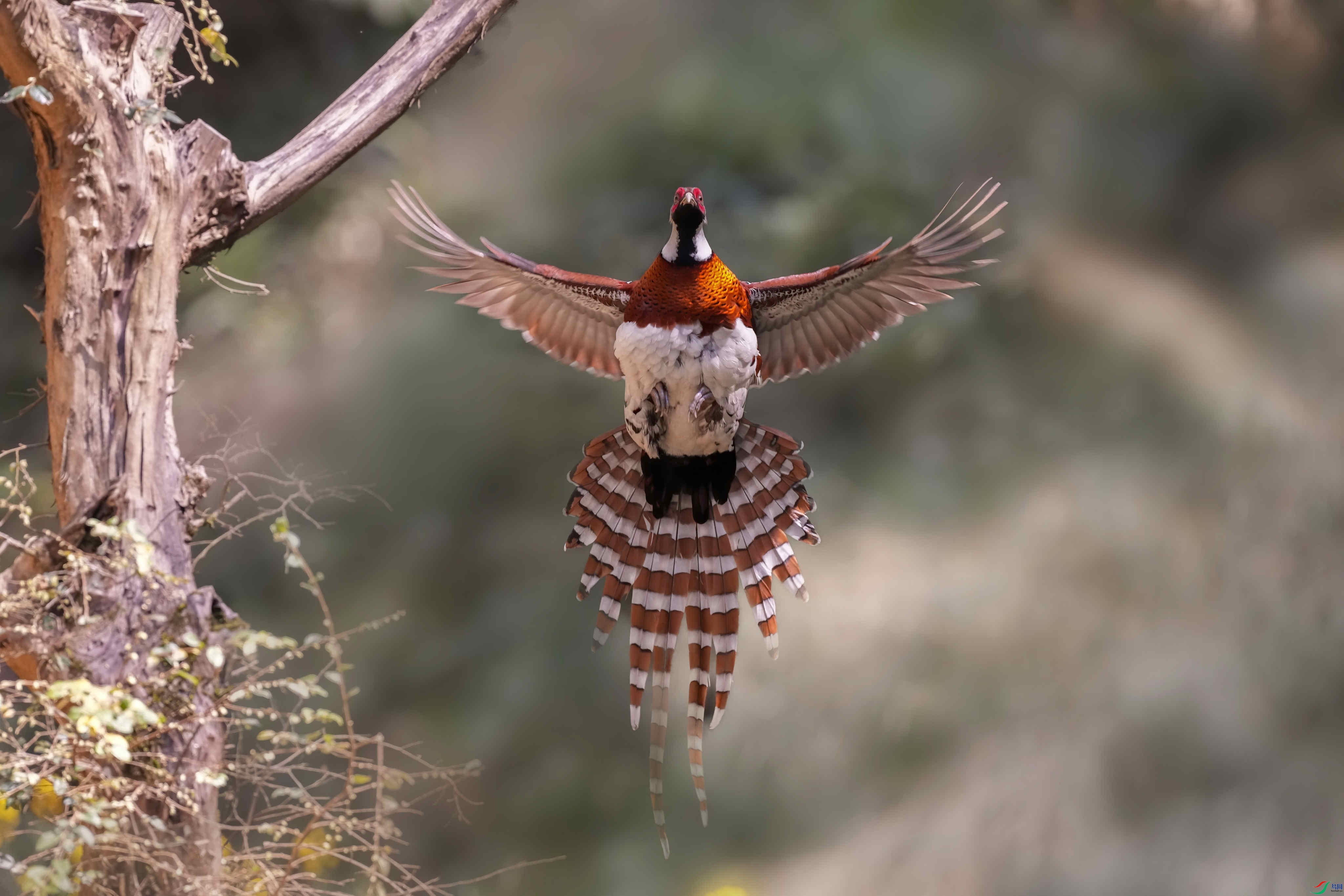 7CDFED34-74B8-475E-816C-5DDD481C306C.jpeg