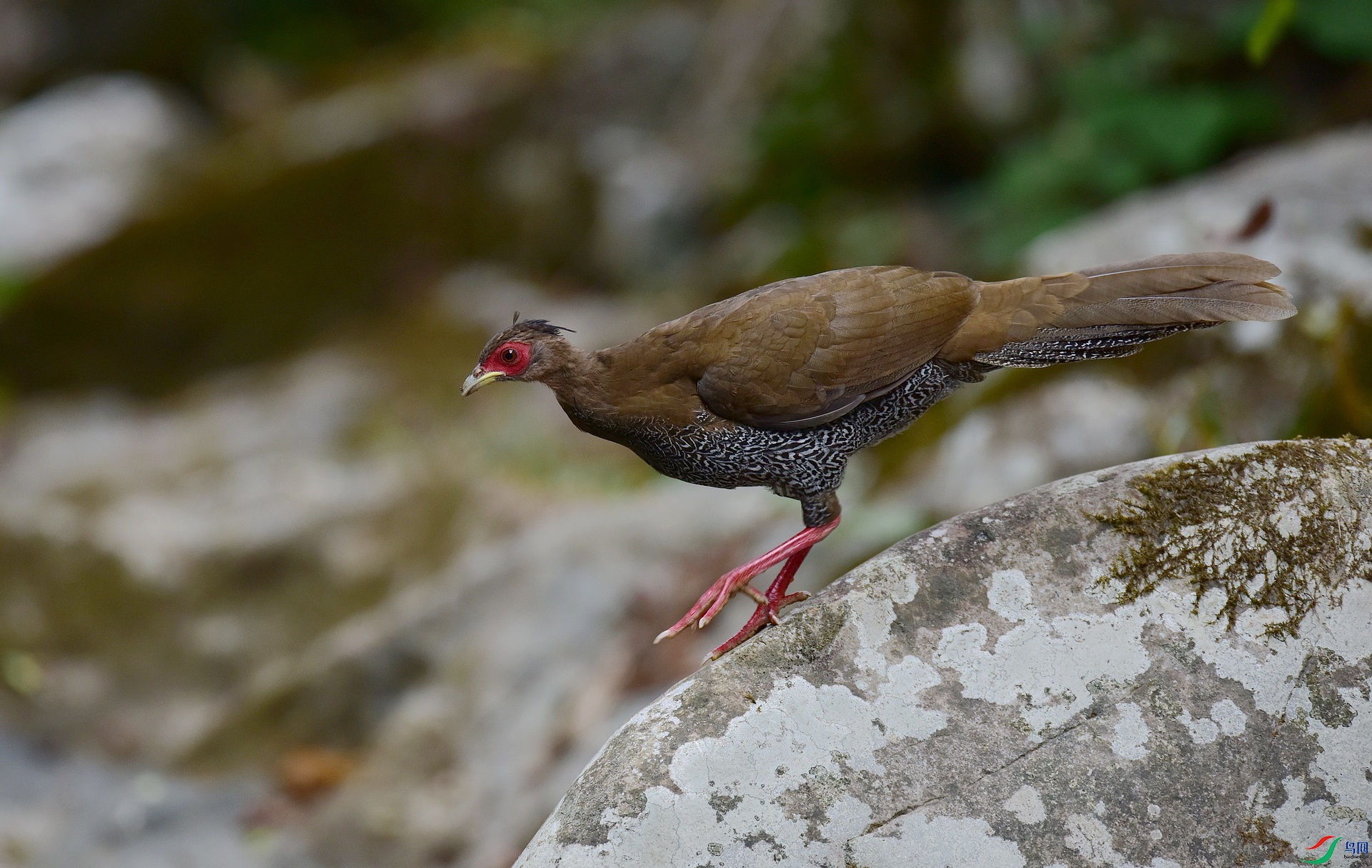D8I_4368.jpg