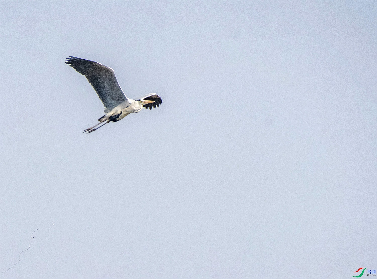 DSC_6276---_conew1.jpg