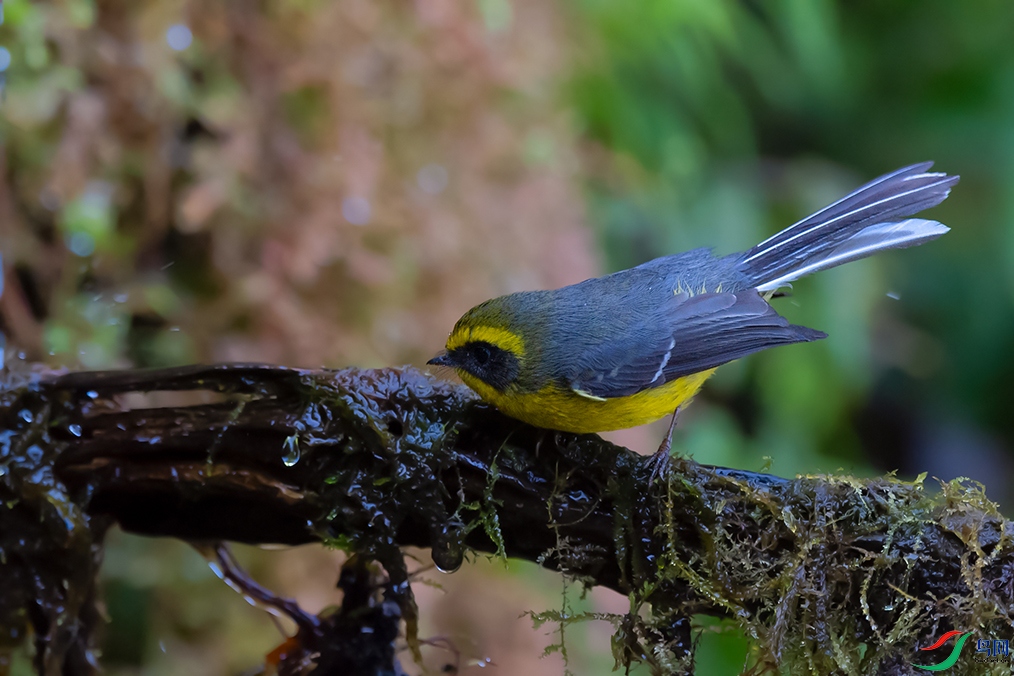 DSC_2654_DxOa.jpg