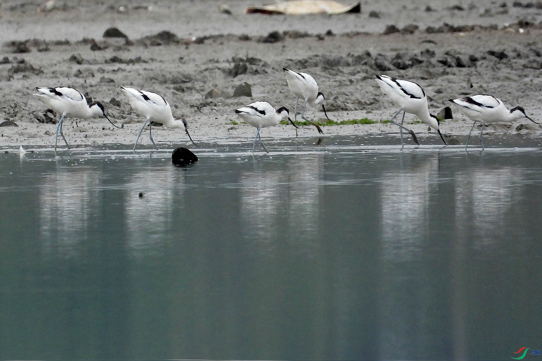 DSCN8830.jpg