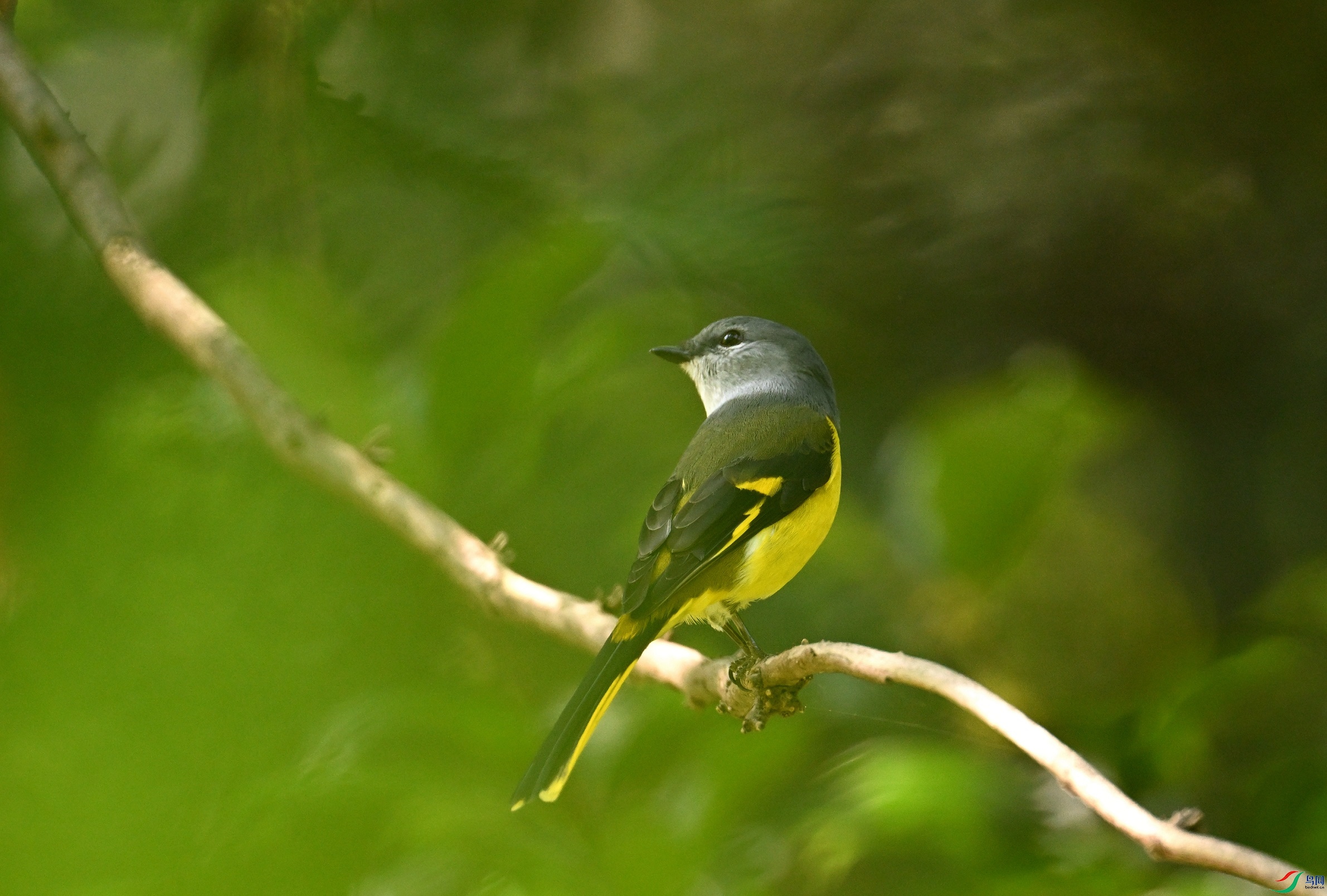 DSC_8158.JPG