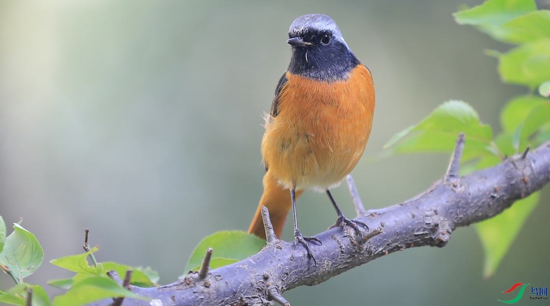 Ư����С��