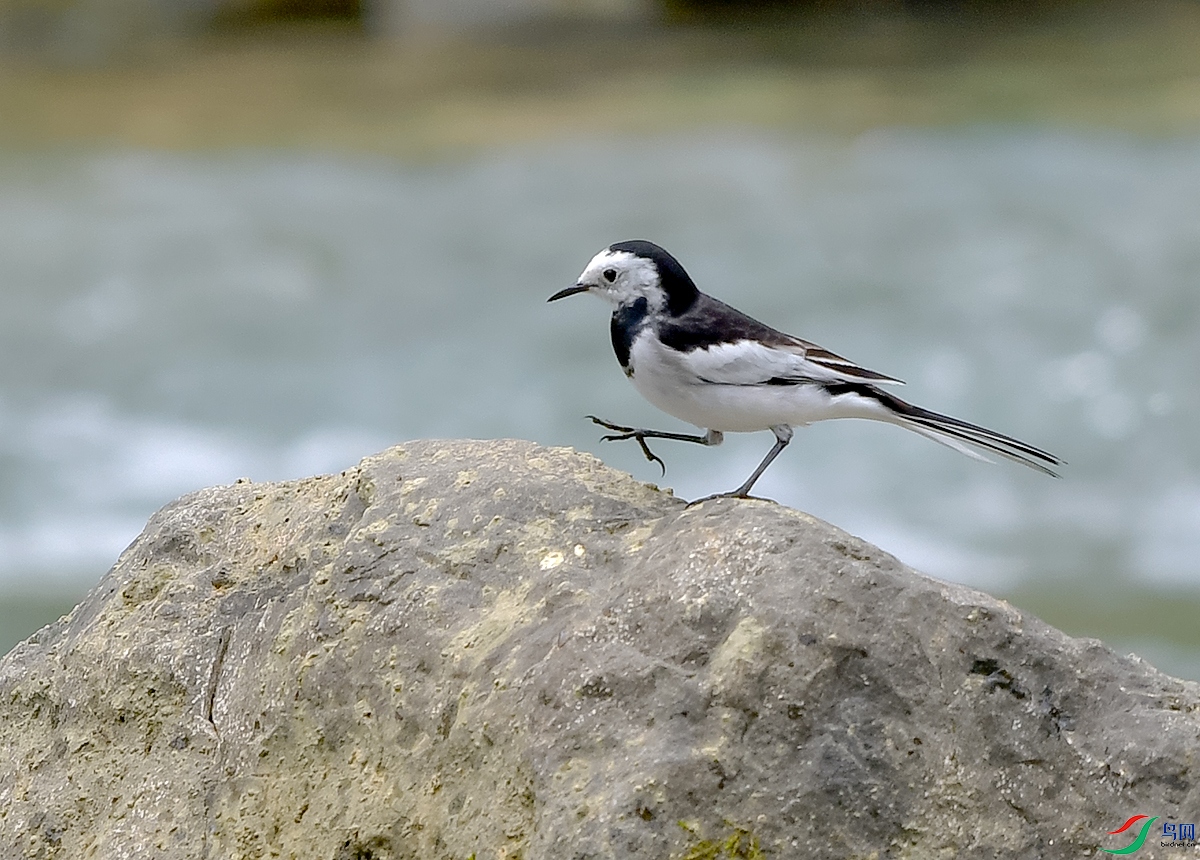 DSC_0679.JPG