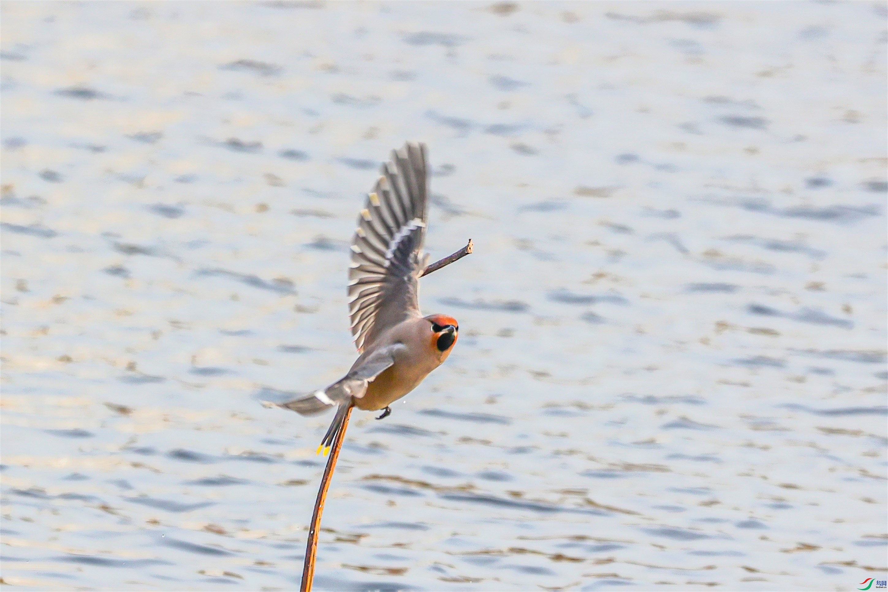 1K3A7109 ����1.jpg