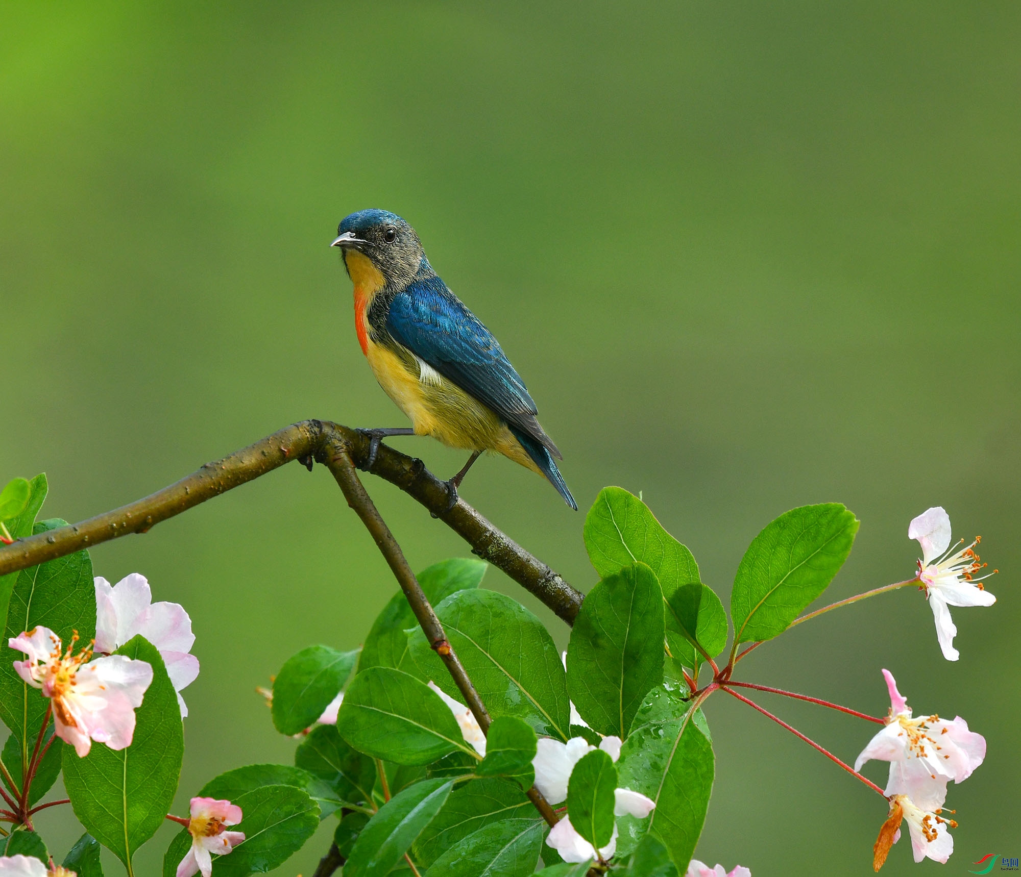 DSC_3358.JPG