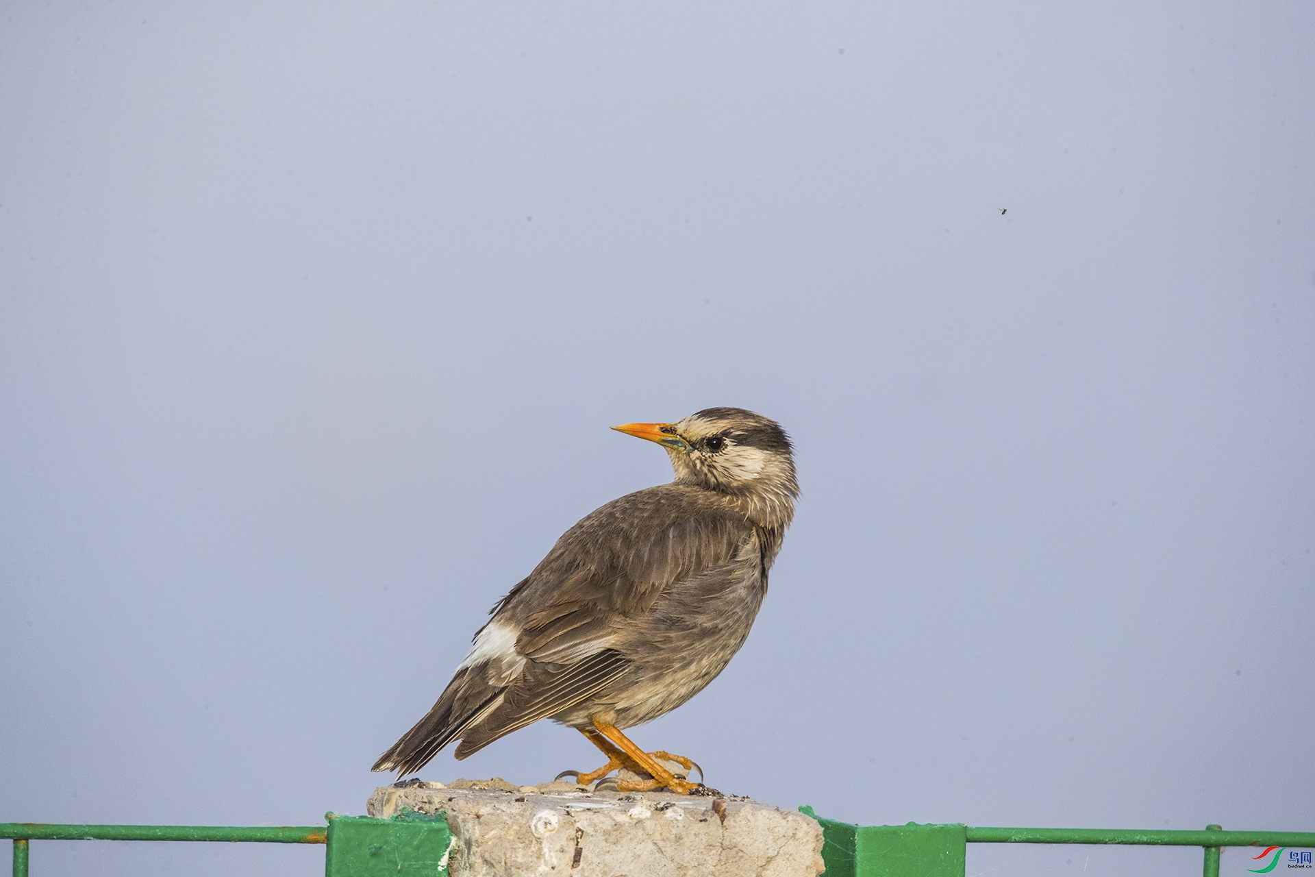 BB2I5429-22.jpg