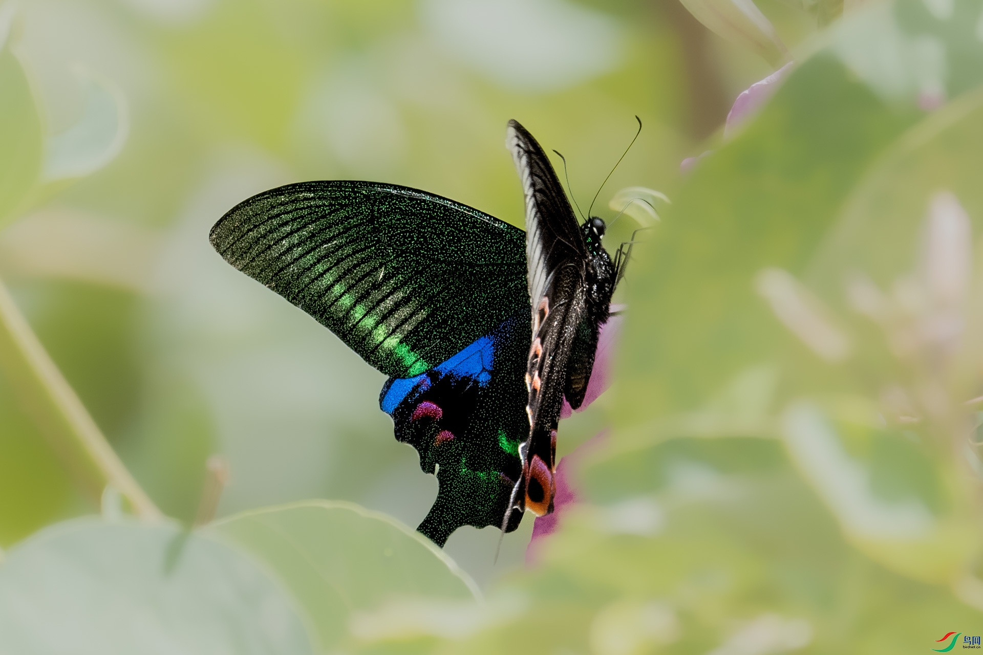 DSC_1551.jpg