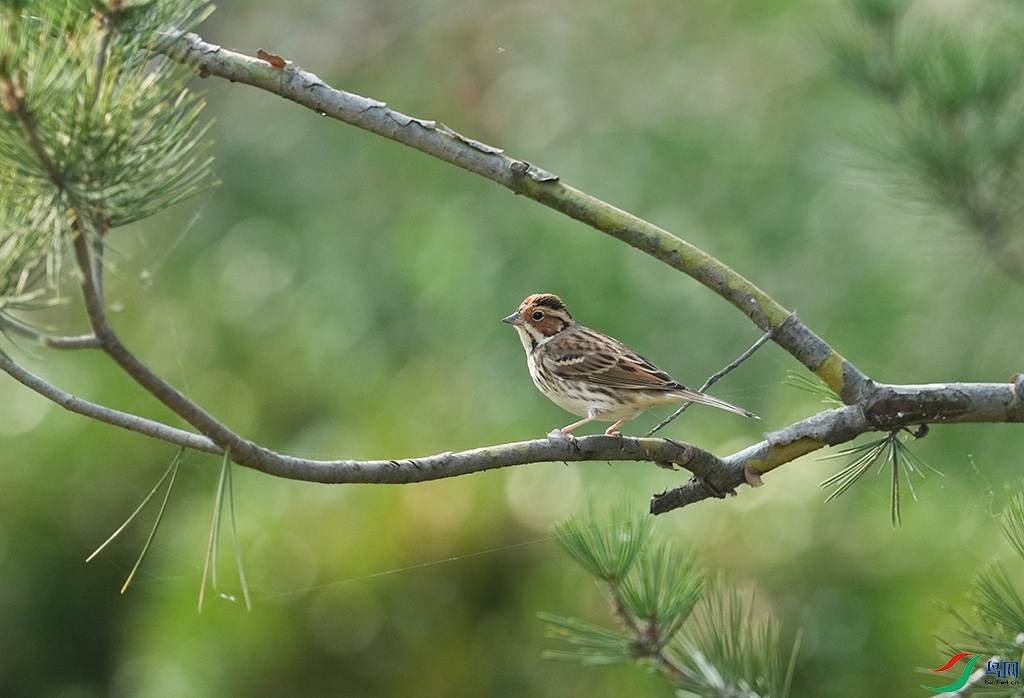DSCF2633.JPG