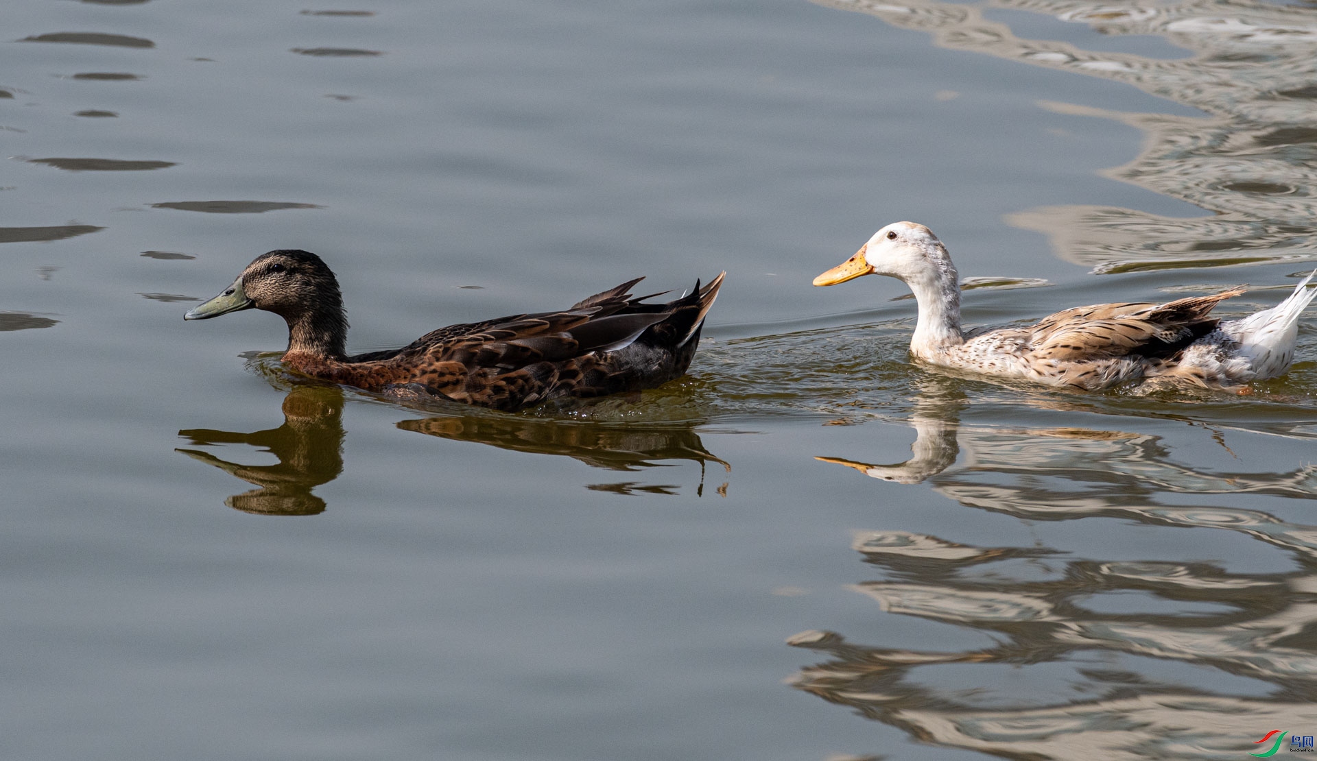 DSC_3283.jpg