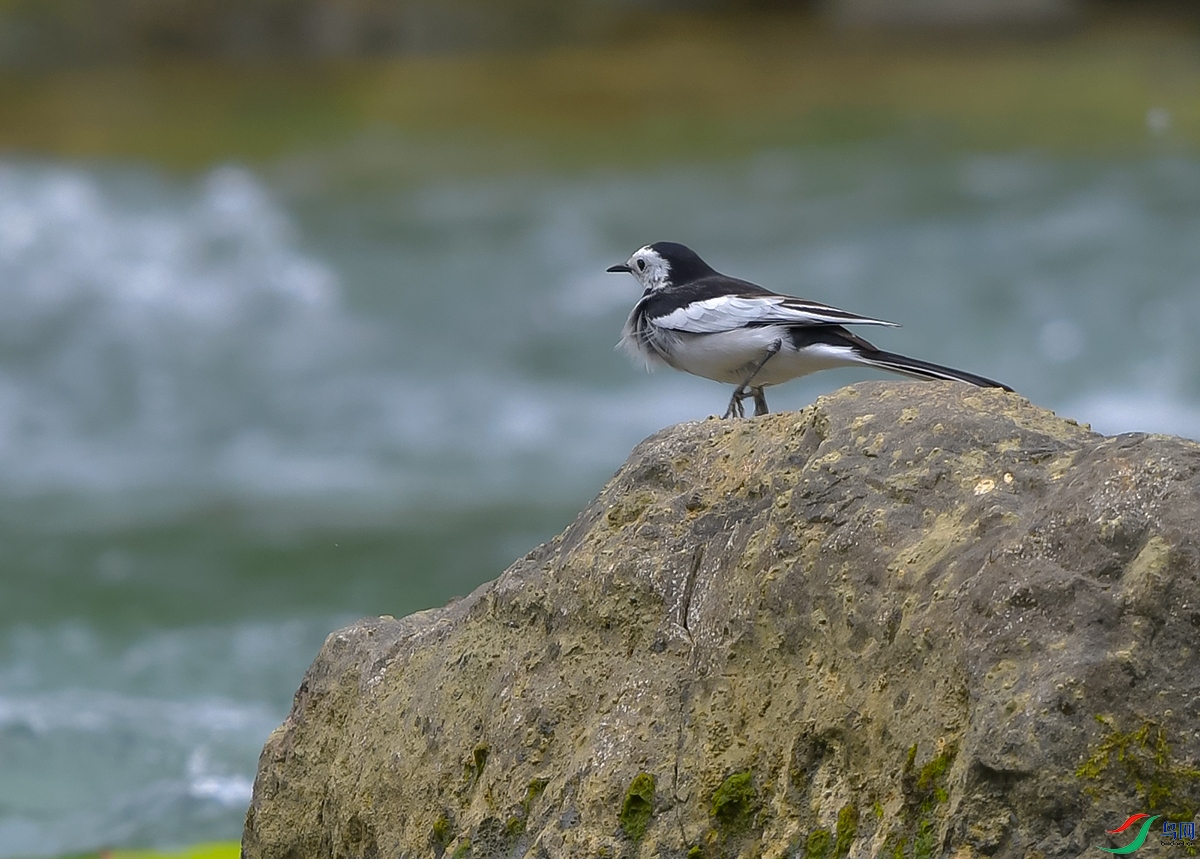 DSC_0686.JPG