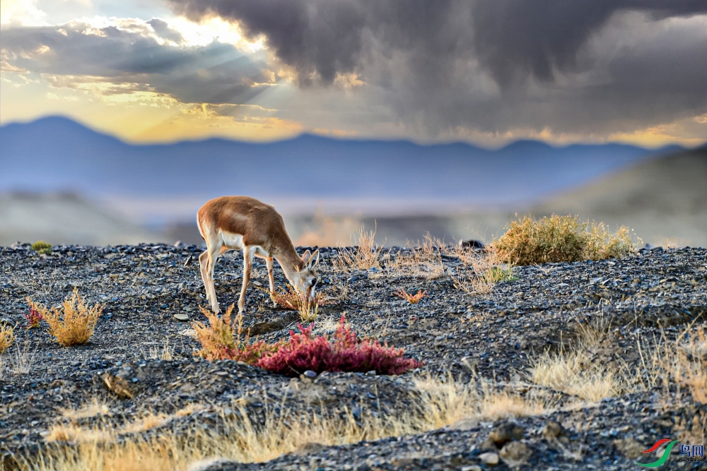 DSC_3001 ����_01_02.JPG