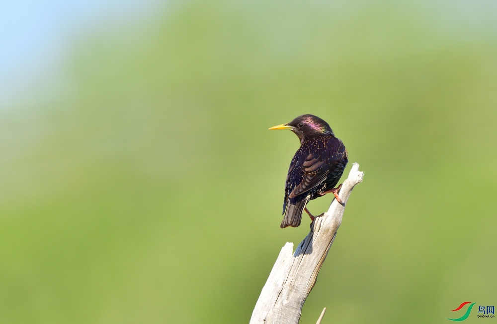 DSC_3592_02.JPG