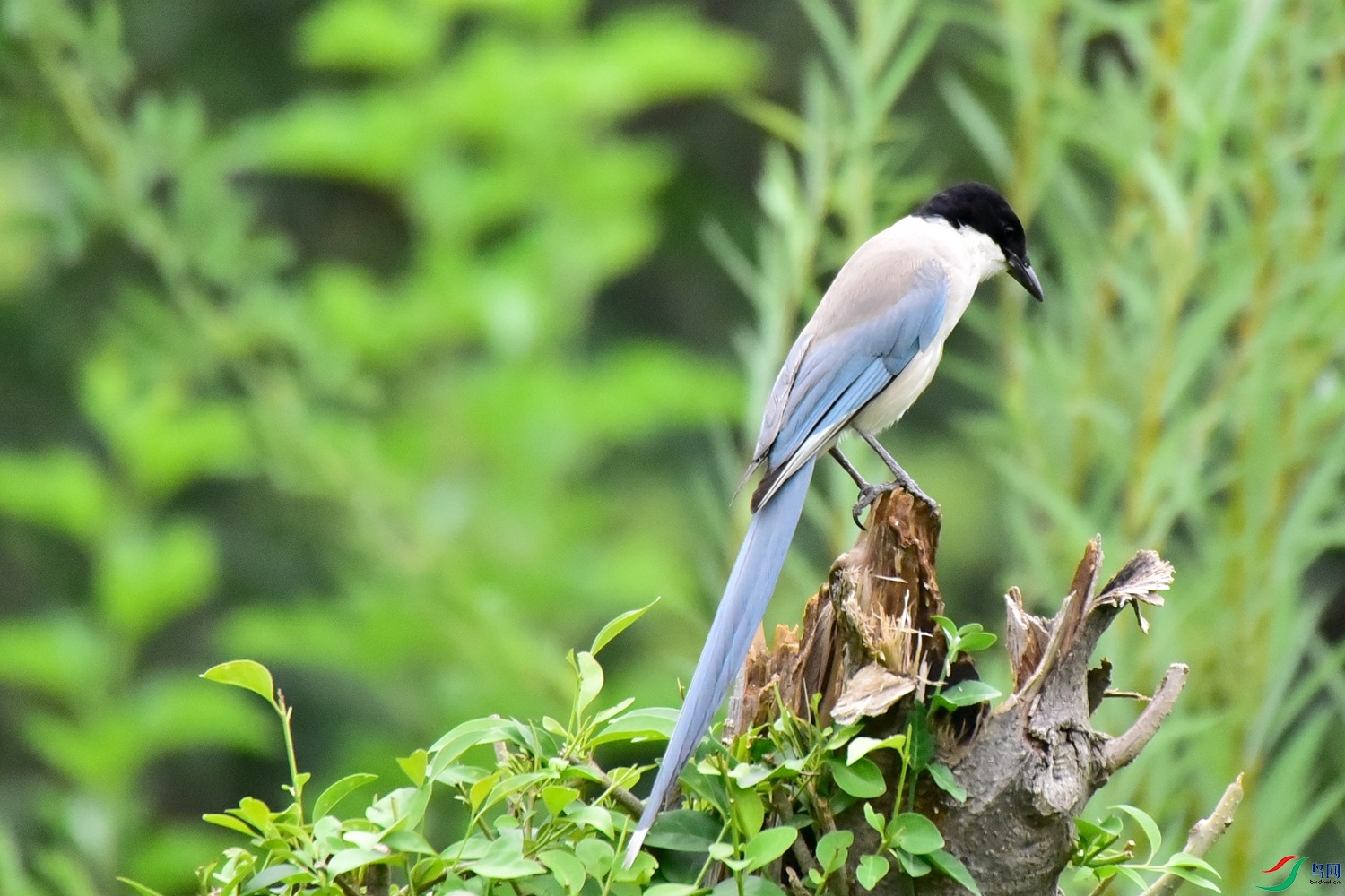 DSC_4905.JPG