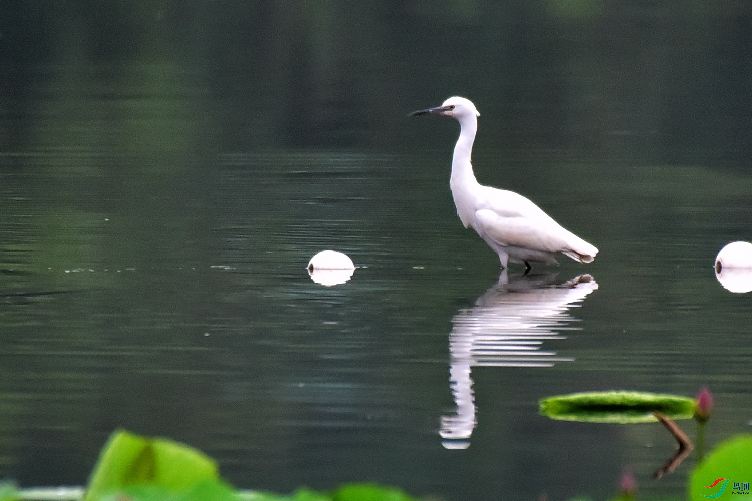 DSC_5651.JPG