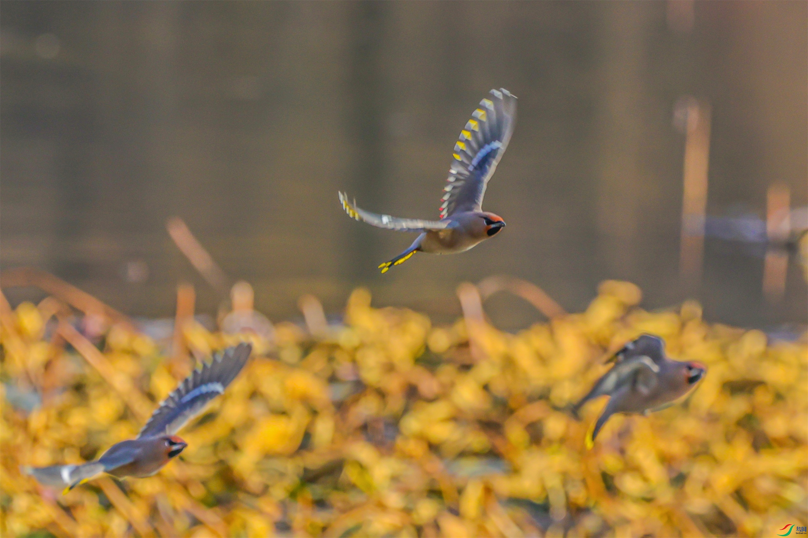 1K3A6810 ����1.jpg