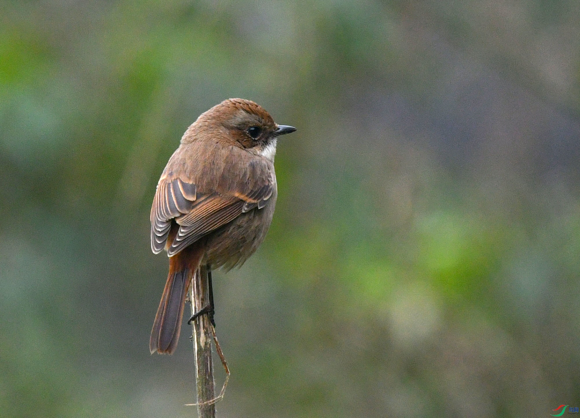DSC_6406.JPG