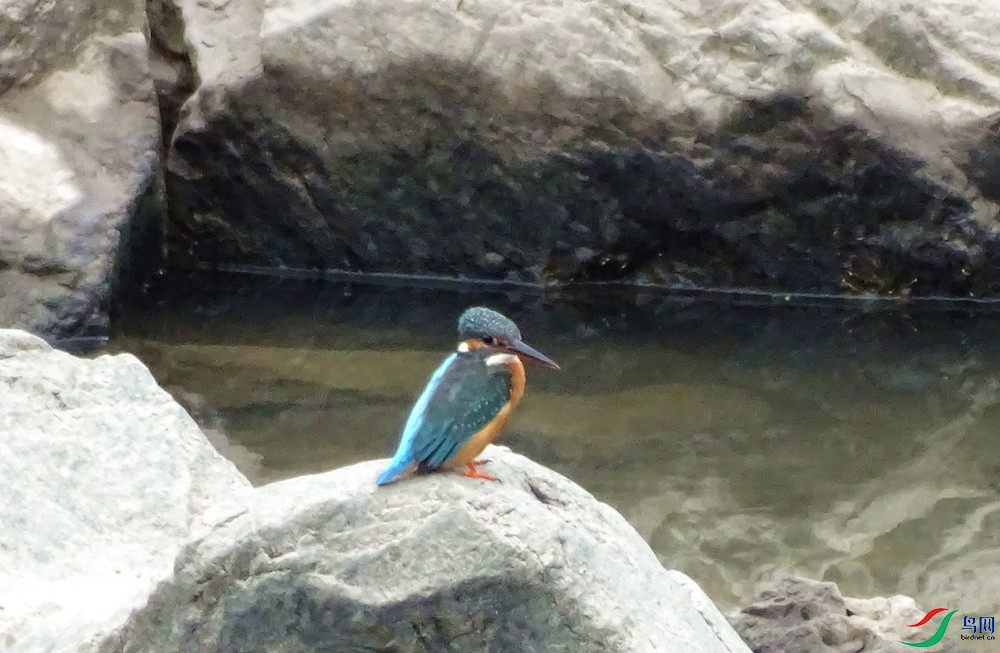 DSC00201_����.jpg