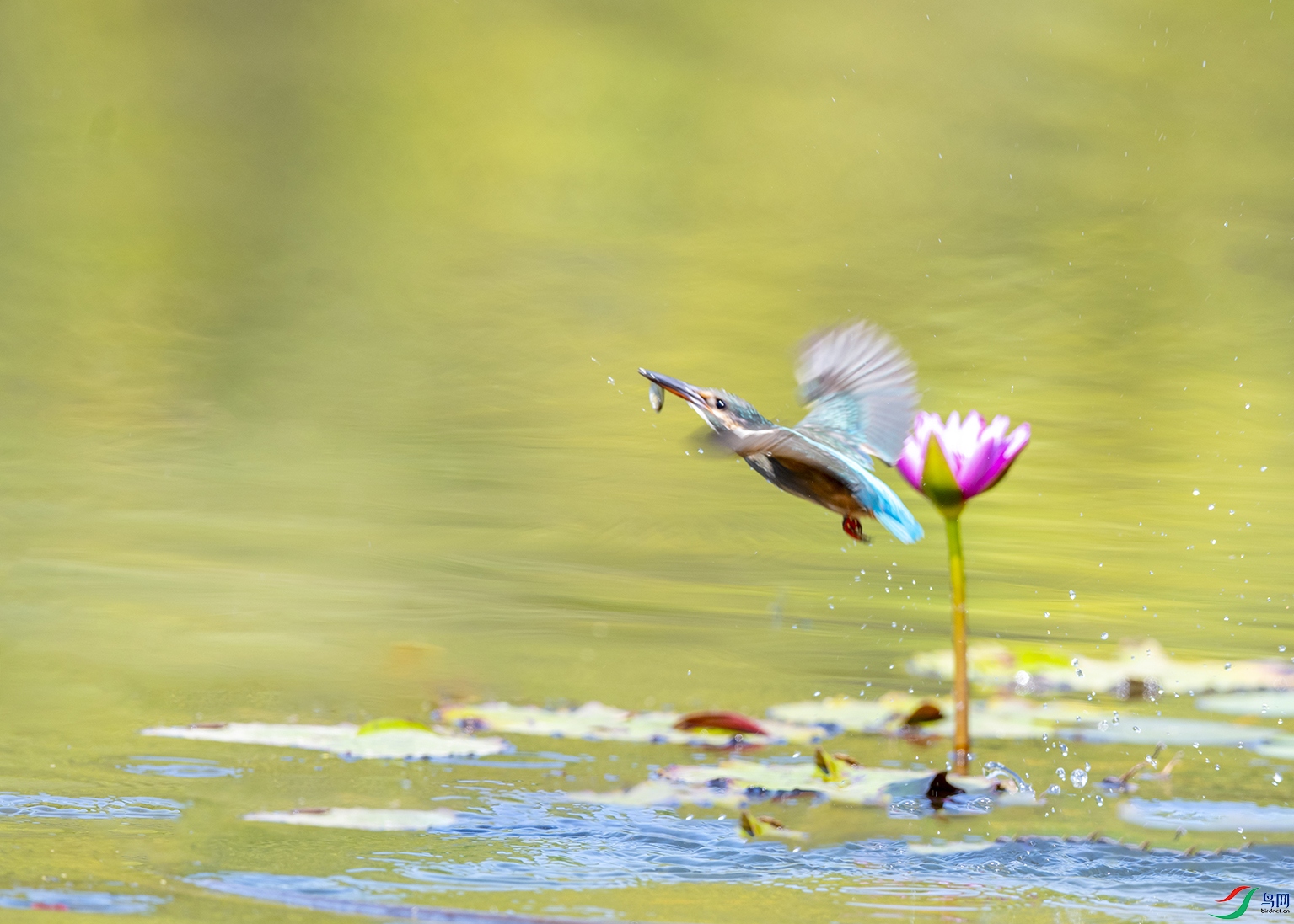 0338 ���� 2-1.jpg