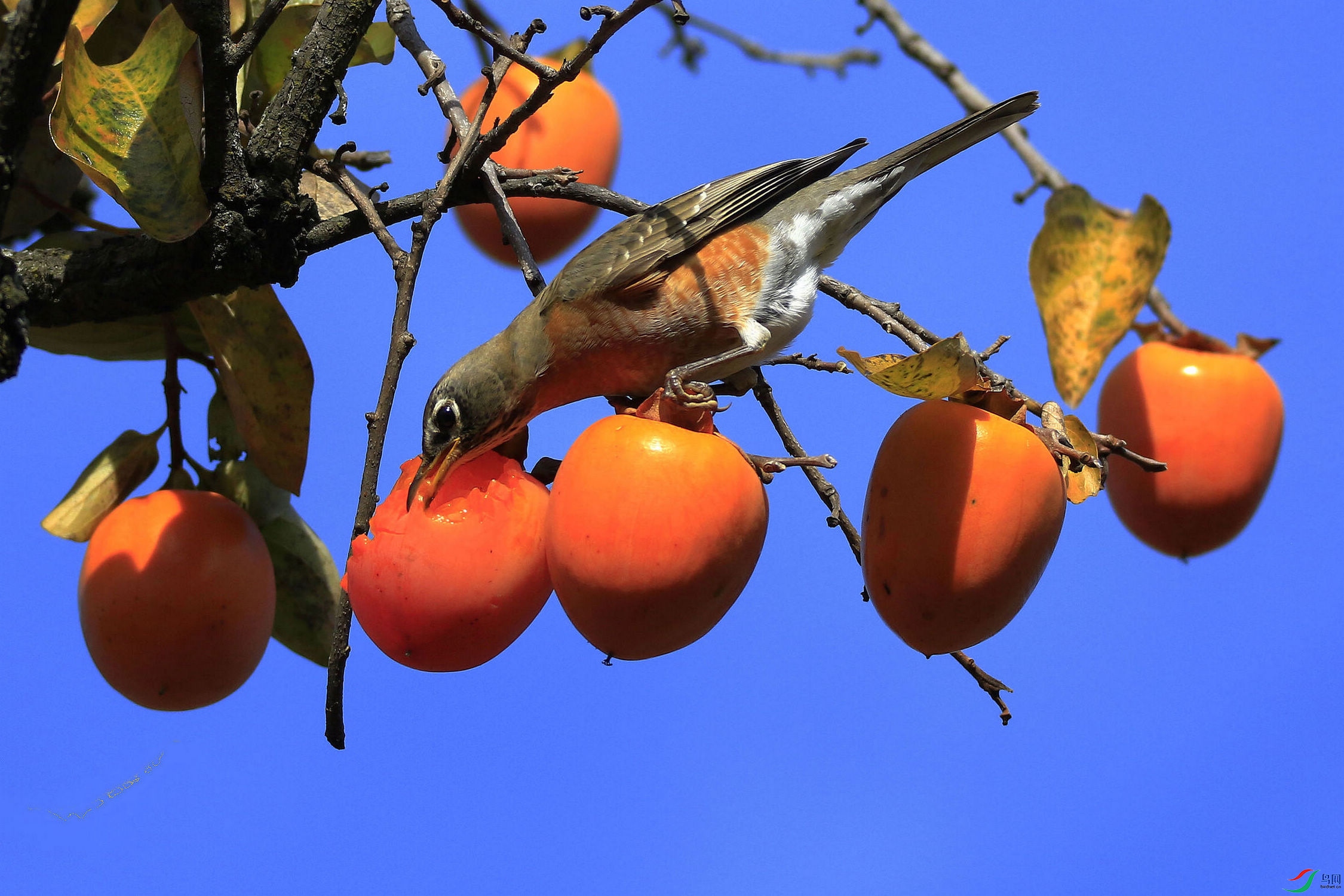 ����֪���� 03.jpg