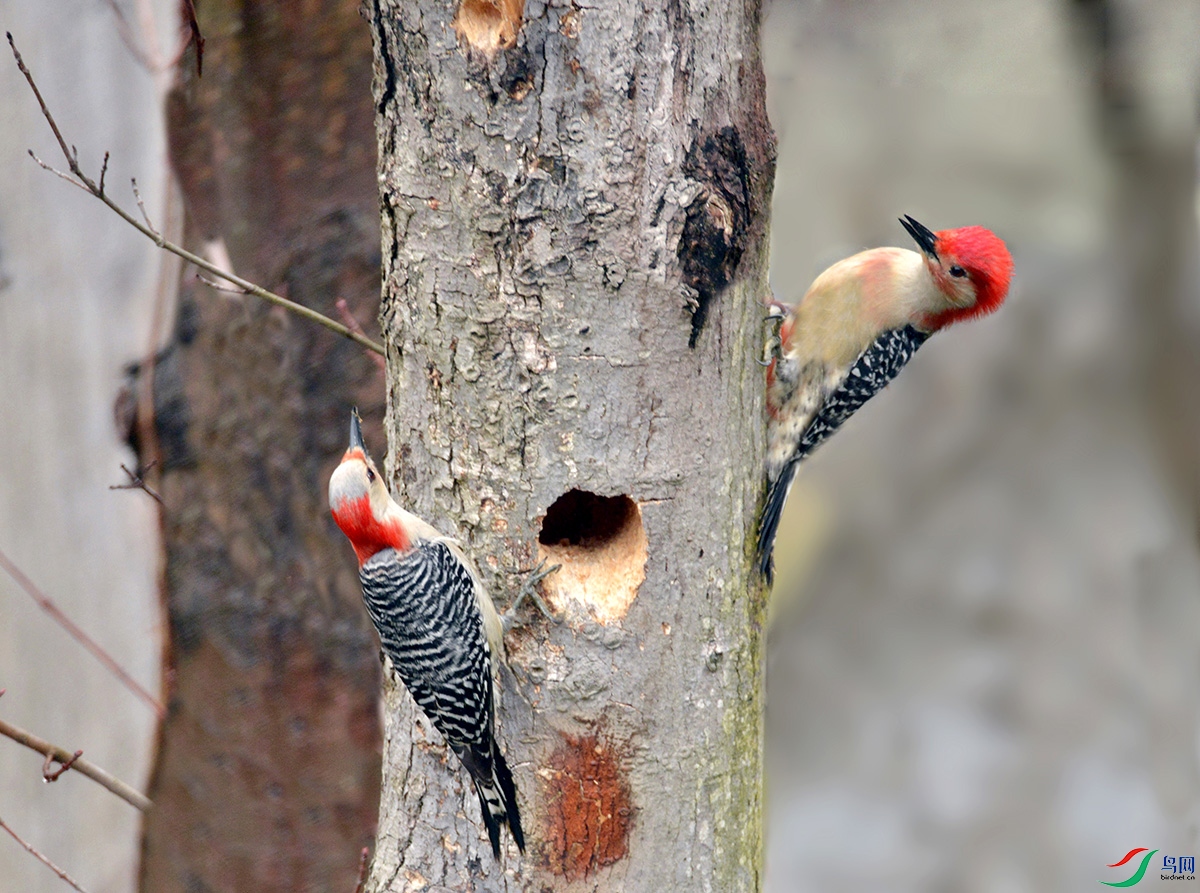 _HYJ0759 - ���� - ����.JPG